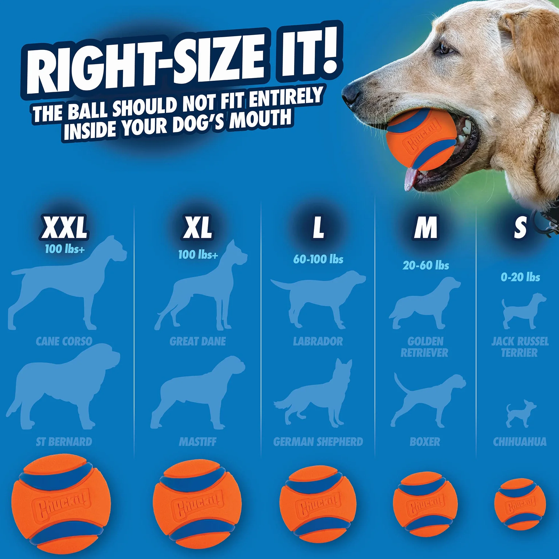Chuckit! Lot de 2 Ultra Ball Small