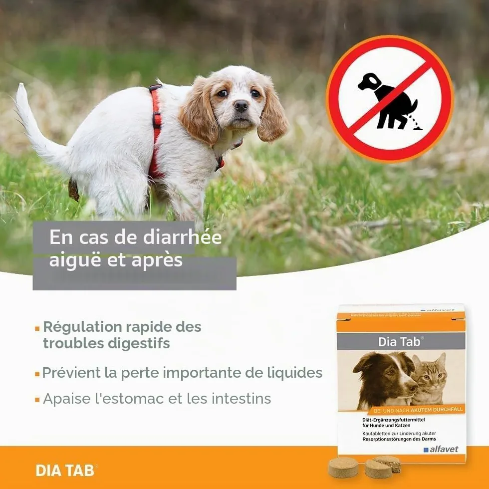 alfavet Dia Tab, complément Alimentaire diététique pour Chiens et Chats, comprimés à mâcher Contre la diarrhée et Les vomissements, 60 x 5,5 g