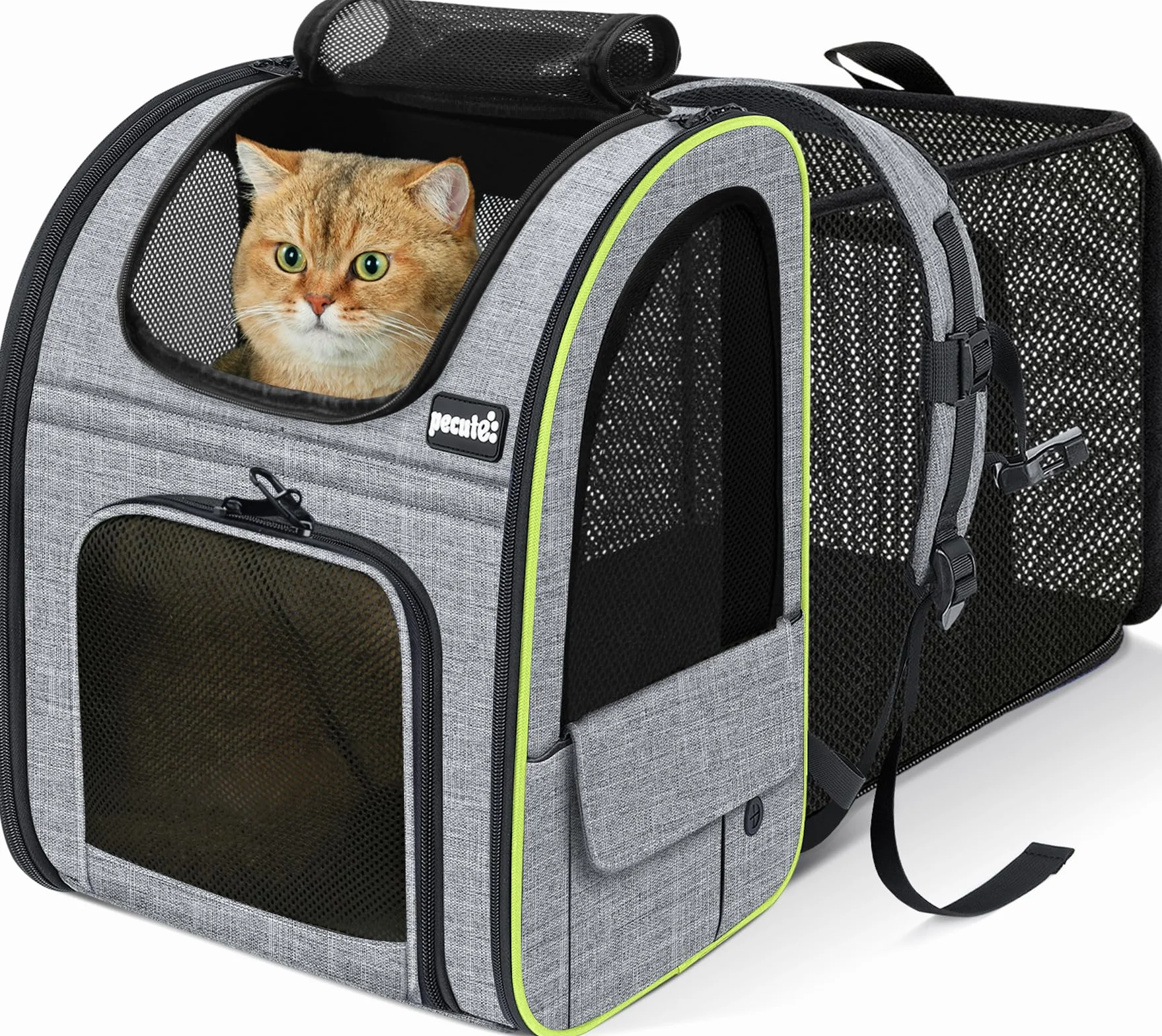 Pecute Sac Transport Chat Petit Chien Extensible, Sac a Dos Chat Respirant, Sac de Transport pour Chat avec Matelas en Peluche, Gris