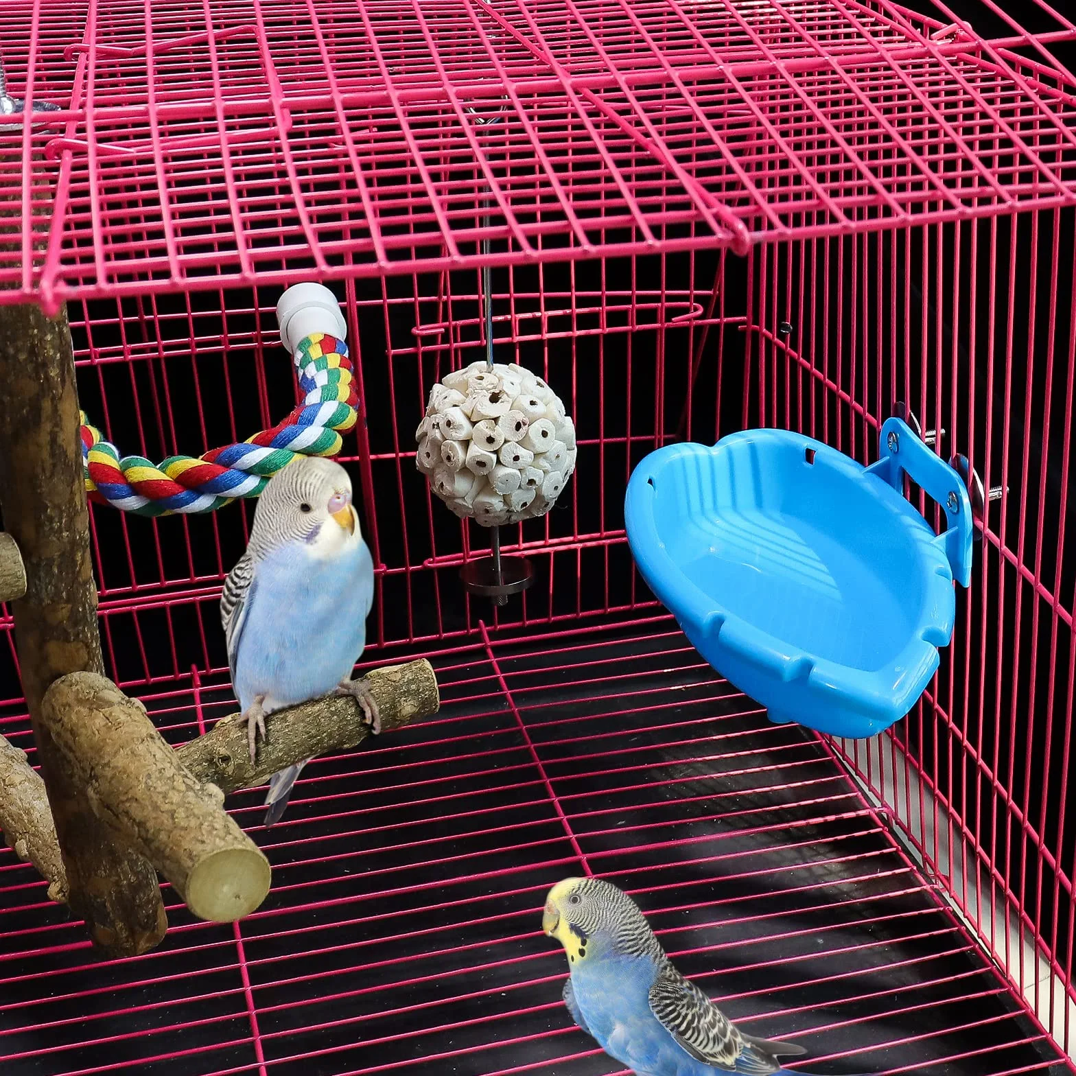 Baignoire Oiseaux Suspendue pour Perruche Canaris Cage Bains d'oiseaux Petits Perroquets (Bleu)