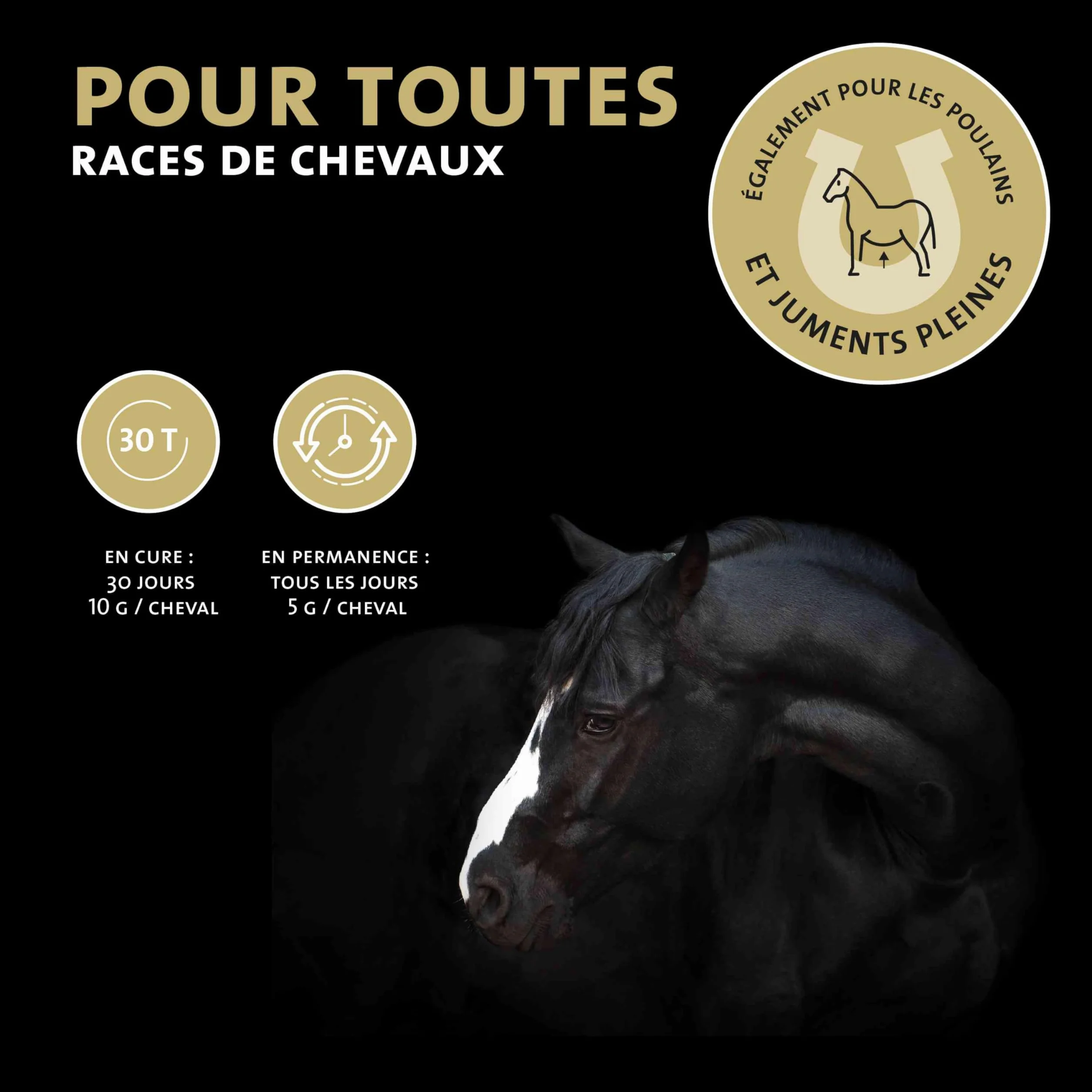 Peticare Poudre Contre la toux pour Chevaux | Soutient Voies respiratoires & rhume | Dissolution Mucus | Formule Naturelle Poudre d'herbes sans OGM