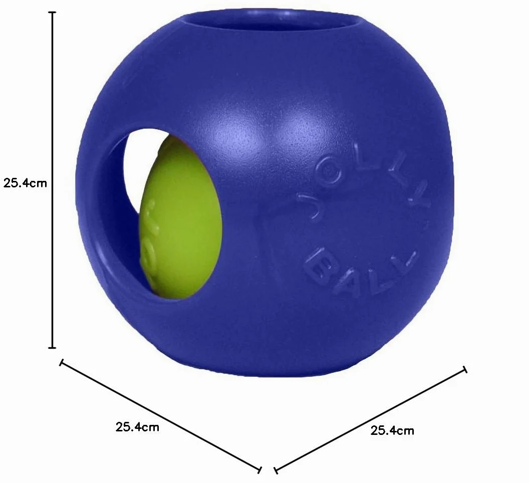 Jolly Pets Teaser Ball Jouet pour Chien Bleu 25 cm