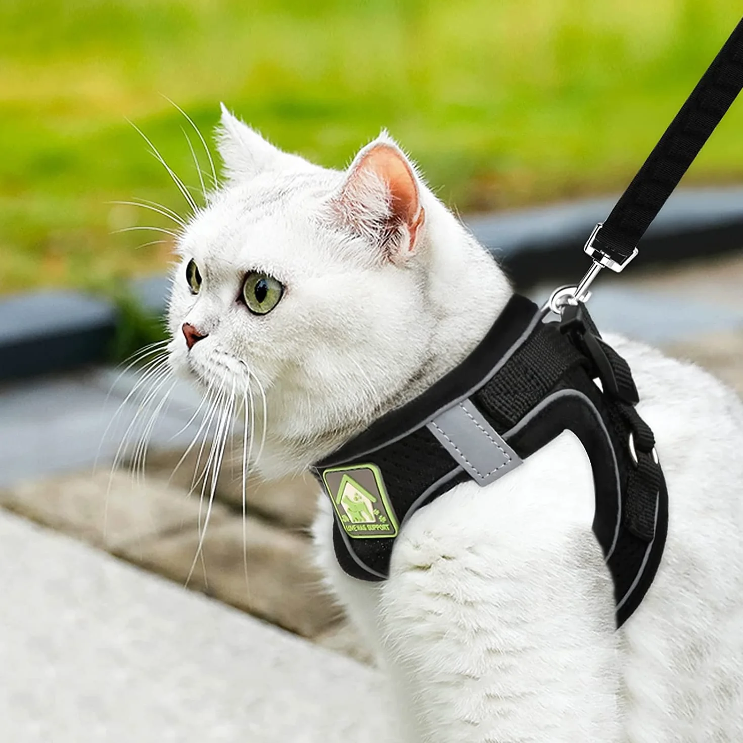 Harnais Chat Anti évasion Réfléchissant Respirant Réglable avec Collier et Laisse en Maille pour Animaux de Compagnie Noir