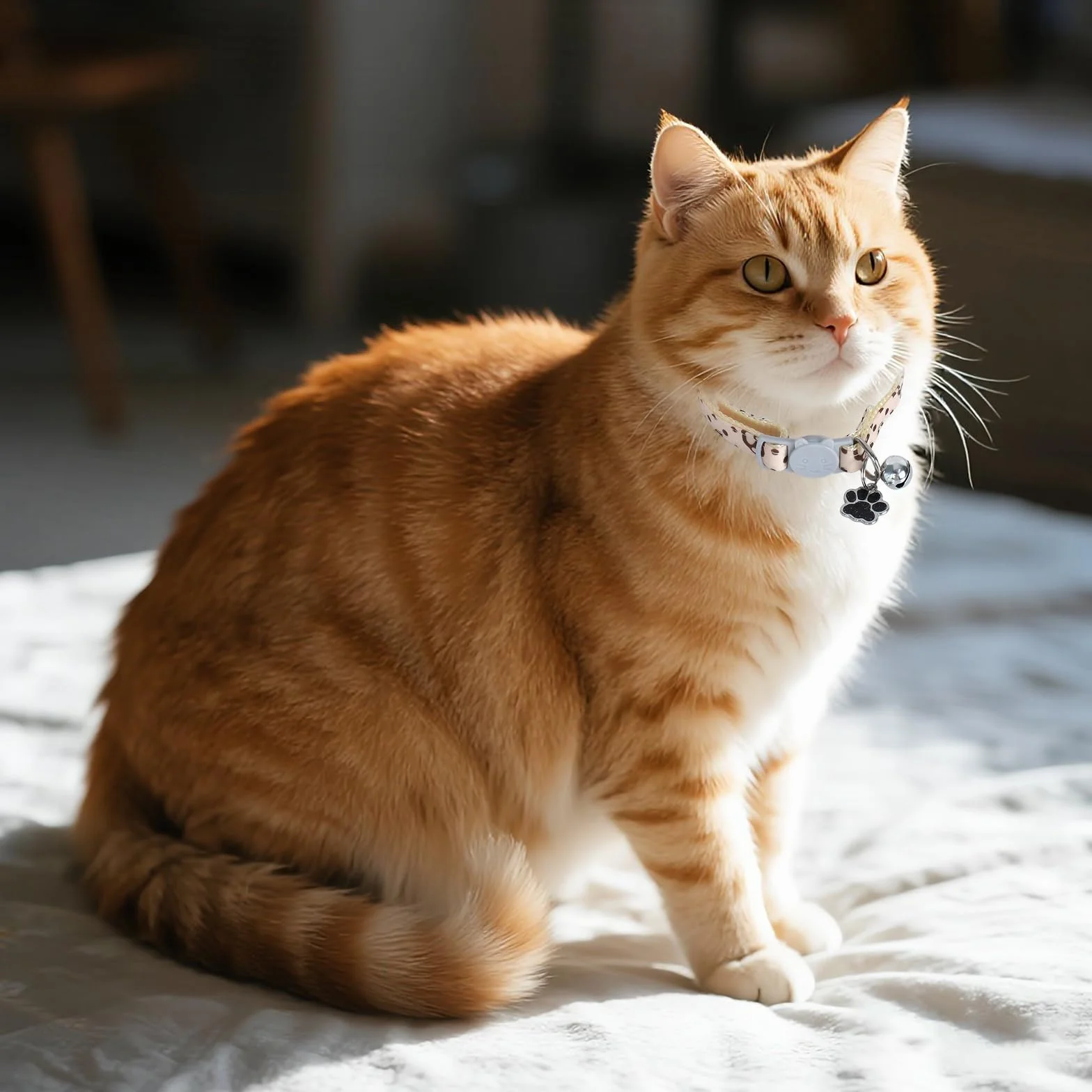 Collier pour Chats Réglable avec Clochette, Boucle de Sécurité, Design Pattes Mignon Rose et Blanc