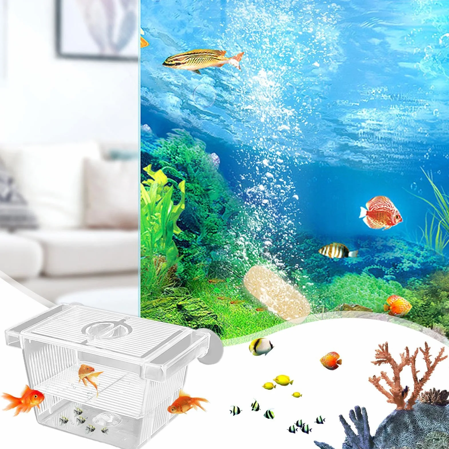 Boîte d'Élevage et d'Isolation Transparente pour Poissons - Incubateur d'Aquarium en Acrylique pour Betta, Crevettes et Guppy