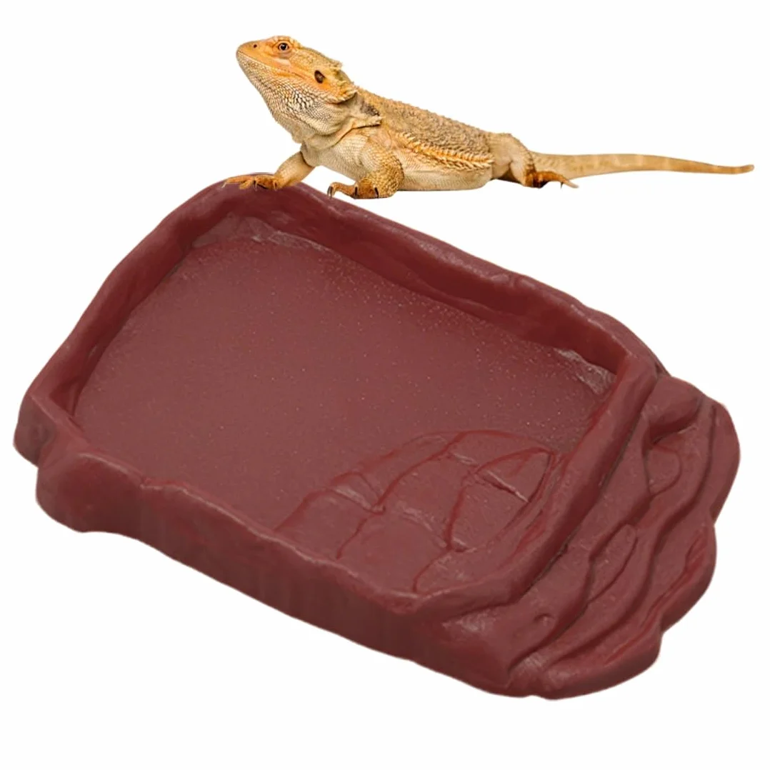 Bacs à Nourriture et à Eau en Pierre Simulée pour Tortues Reptiles Terrarium Marron 2 cm