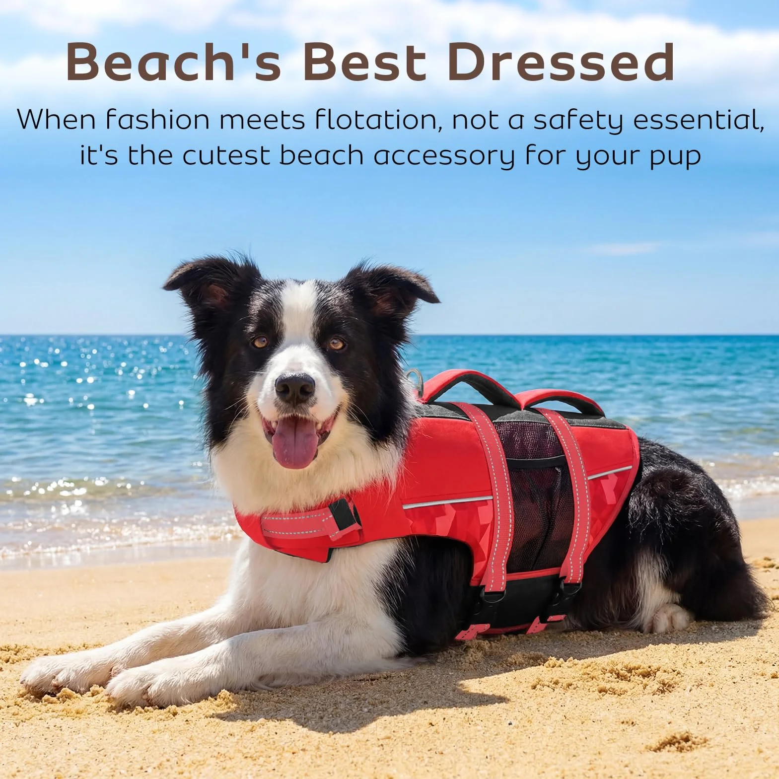 CITÉTOILE Gilet de Sauvetage pour Chien, Bouée Réglable avec Poignée, Maillot de Sécurité Aquatique, Rouge M