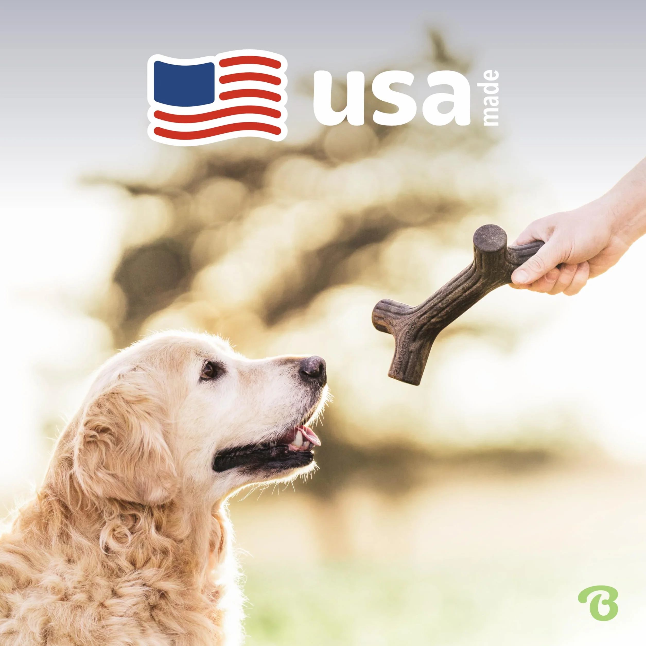 Benebone Bâton à mâcher Indestructible pour Grands Chiens, Saveur Bois d'érable, Durable et Résistant