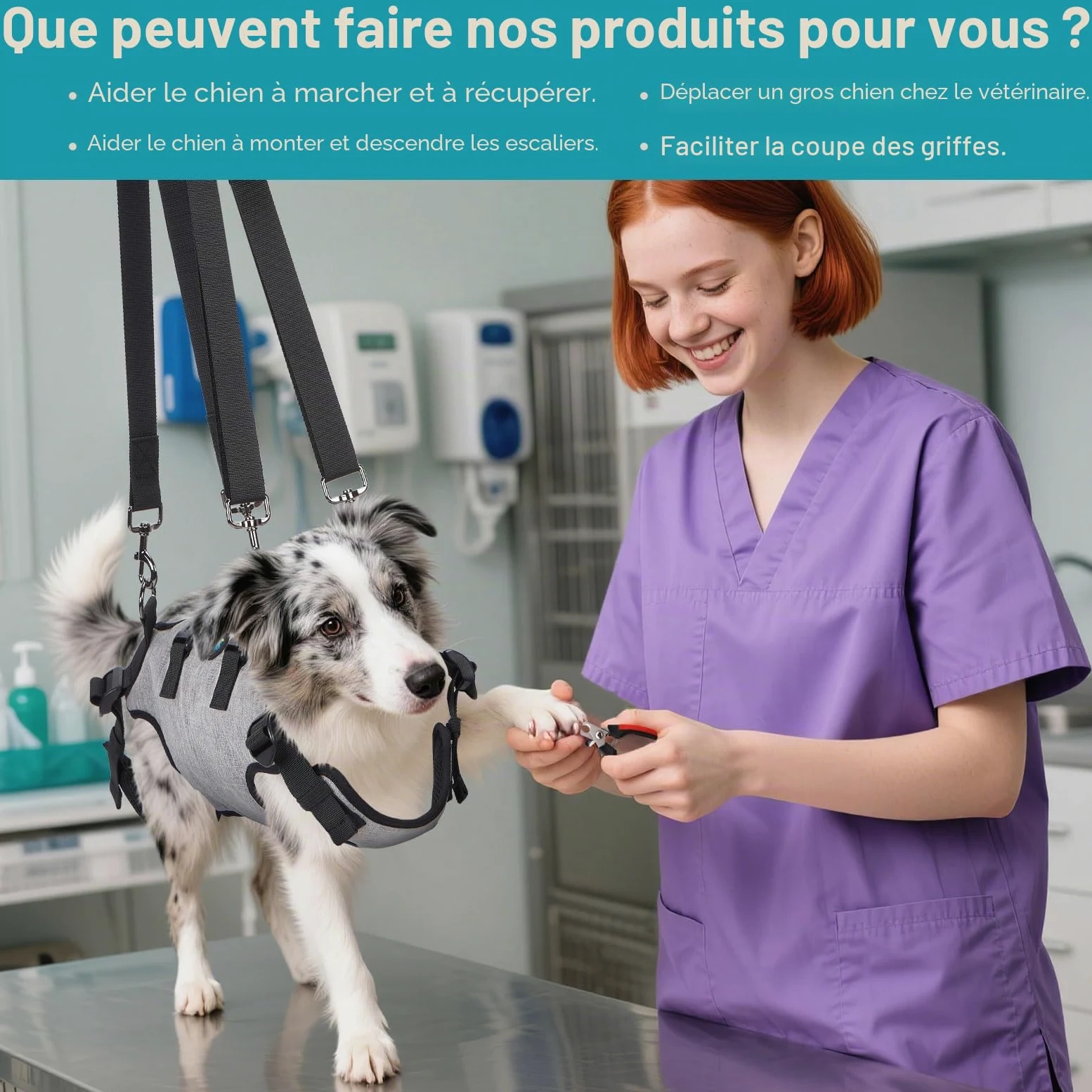 FITNATE Ownpets Sac de transport pour chien et chat Taille M