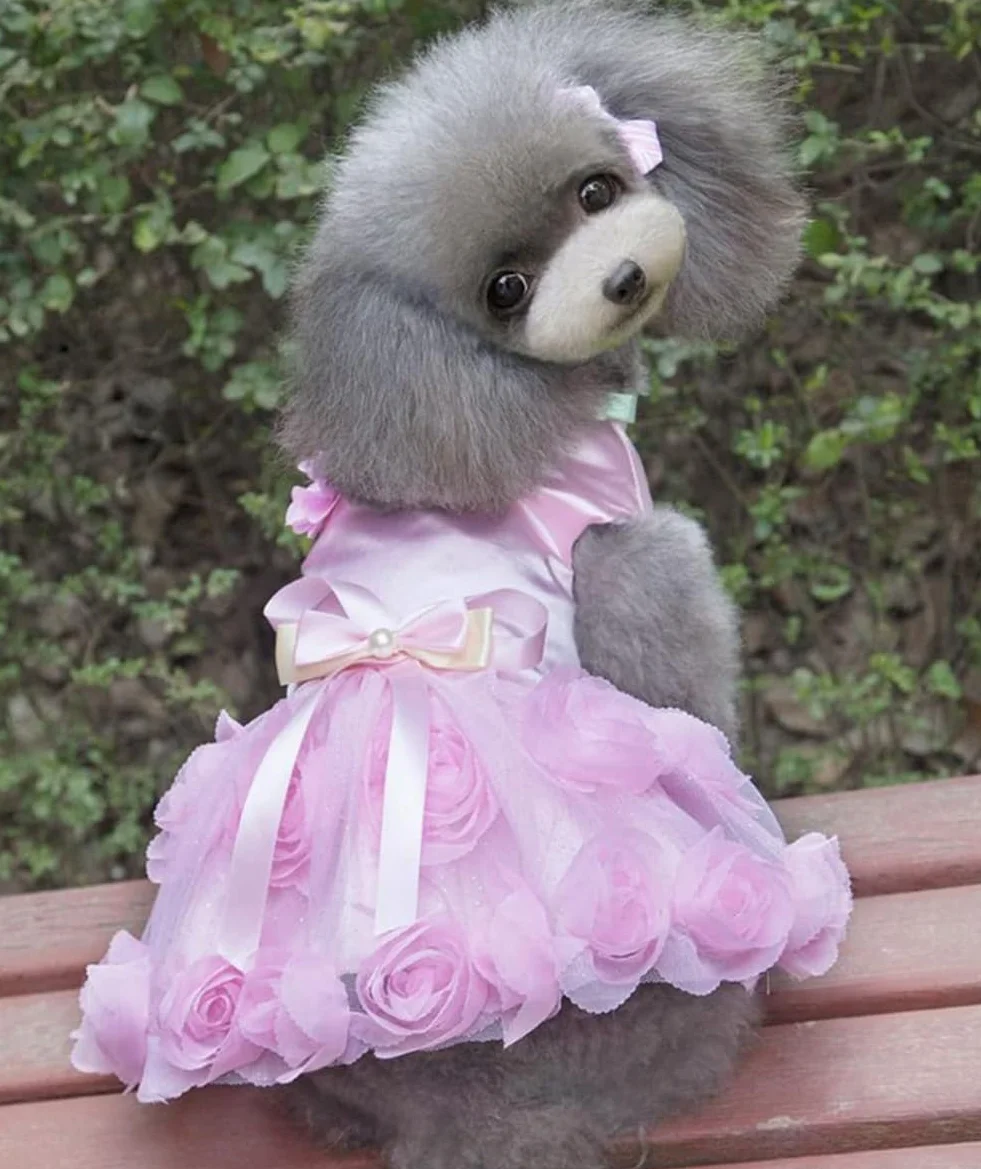 Robe Luxe pour Petit Chien Fille Tutu Jupe Rose Fleur Bowknot