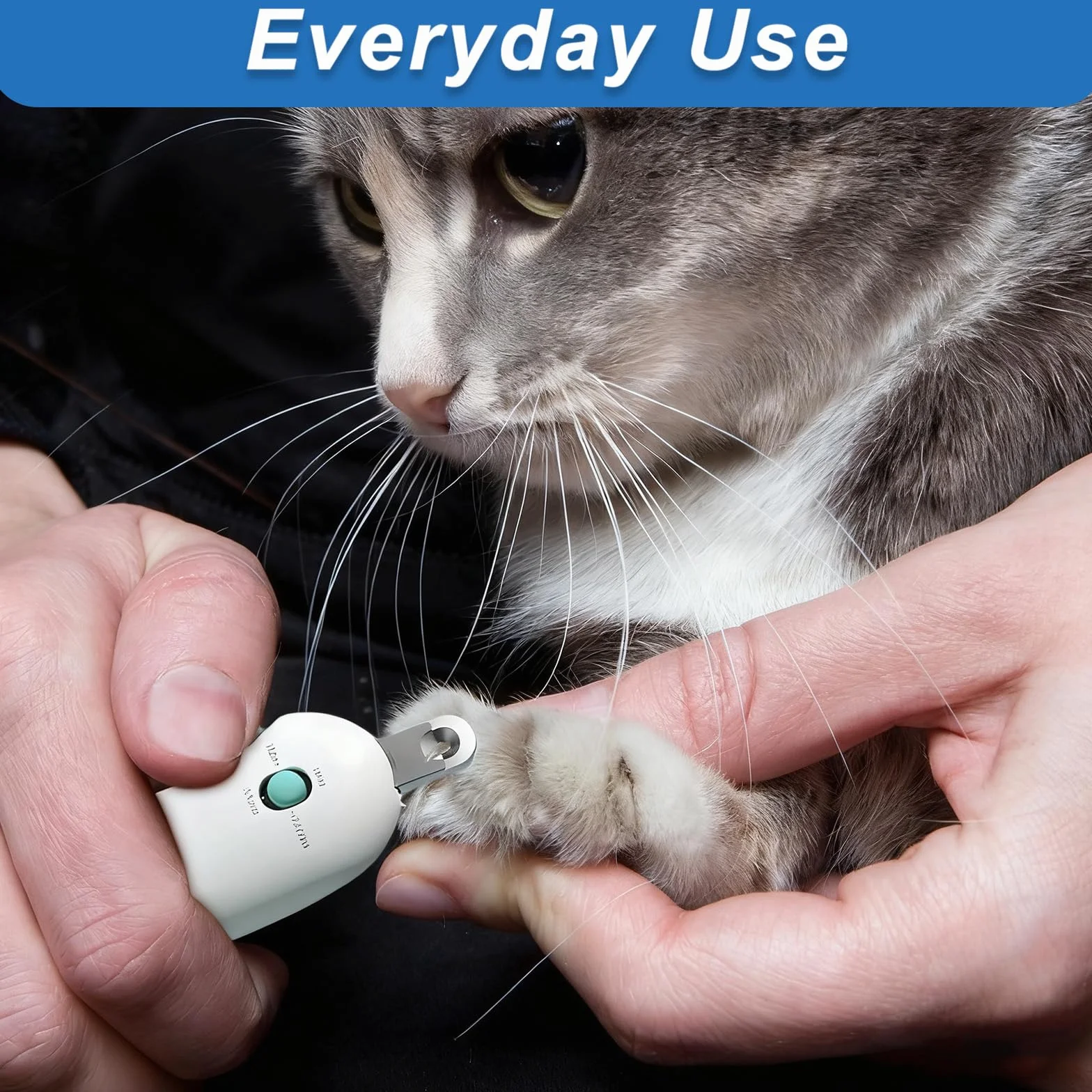 Coupe Griffes Chat Réglable 3 Tailles Lime à Ongles Cachée Anti-éclaboussures pour Chatsons Chats Intérieurs (Bleu)