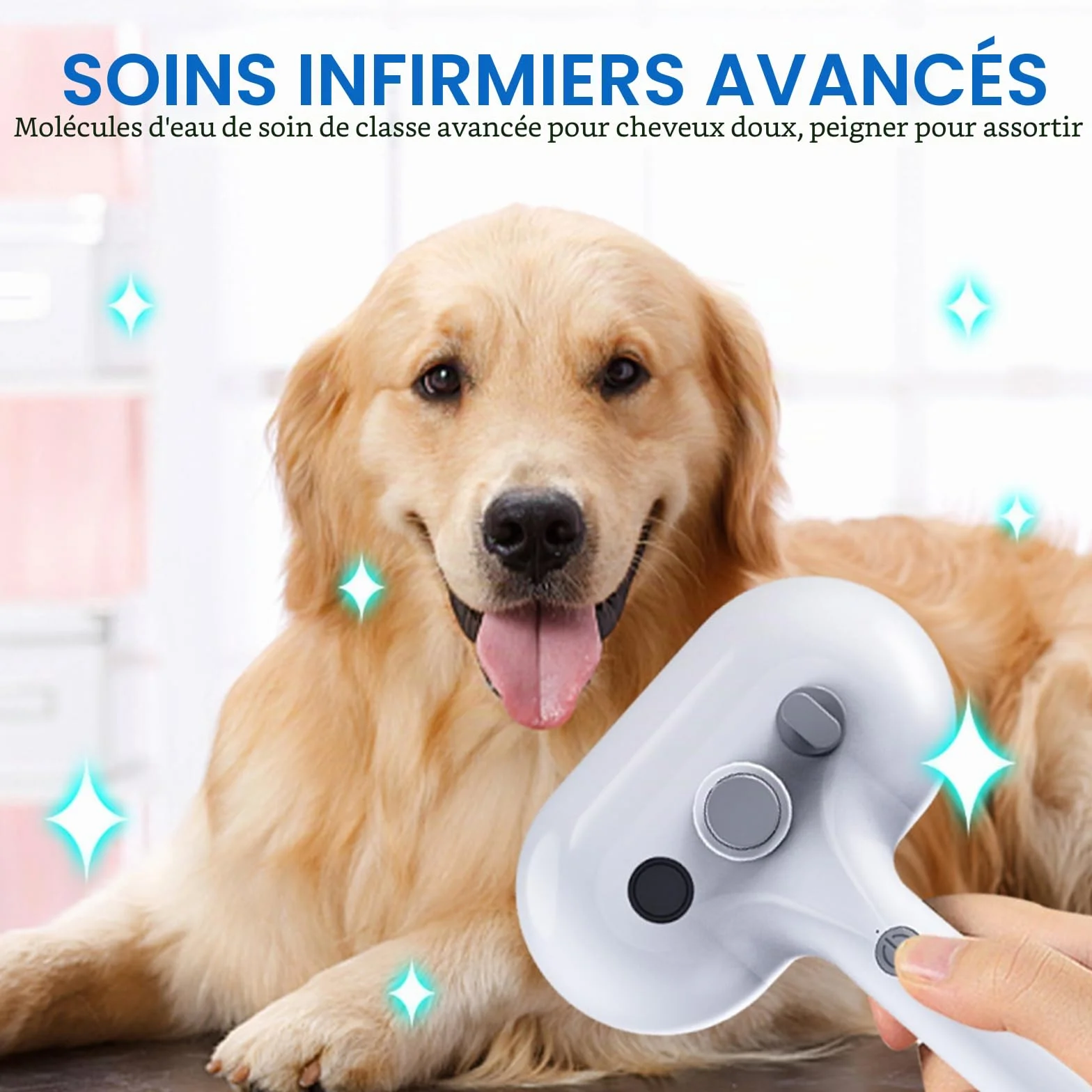 Brosse Chat à Vapeur 3 en 1 avec Chargeur USB C – Brosse de Toilettage et Massage pour Chats à Poils Courts et Longs