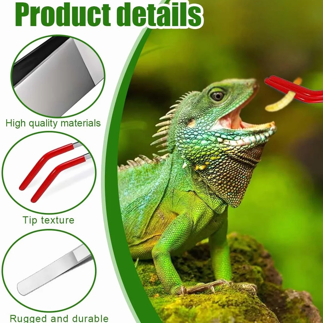 Pinces À Épiler En Acier Inoxydable 27 CM Incurvées Droites Pour Aquarium Terrarium