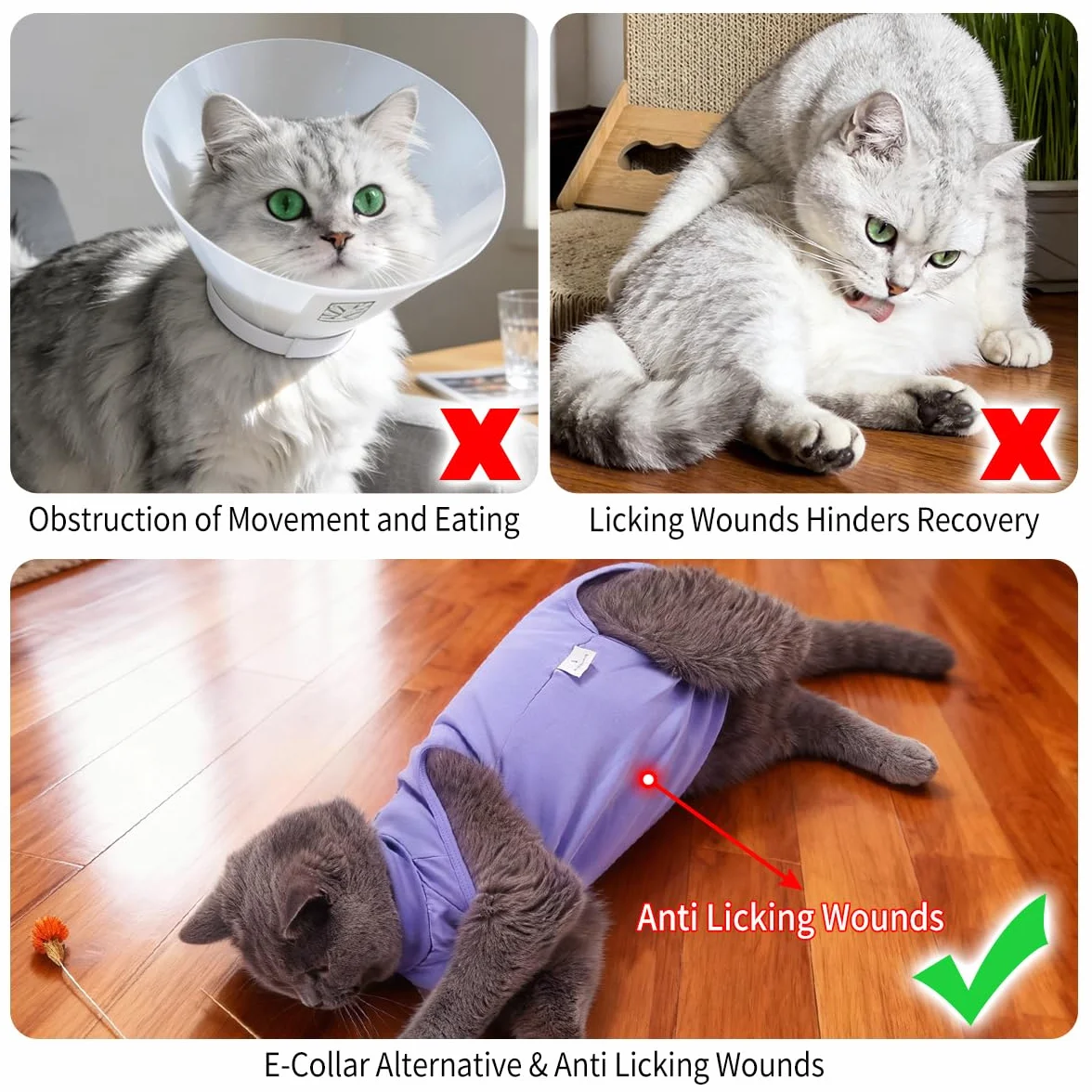 Combinaison de récupération chirurgicale pour Chat, Body médical Violet L