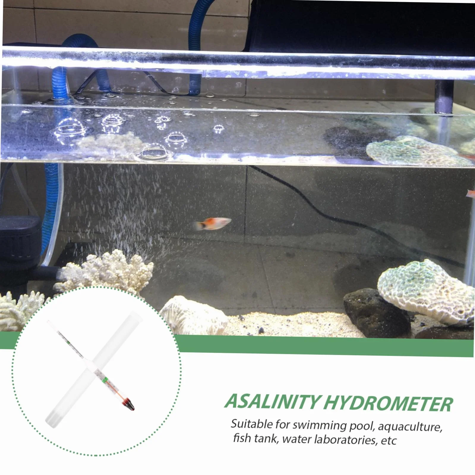 Ipetboom Hydromètre de salinité pour Aquarium Haute précision Testeur d'eau salée
