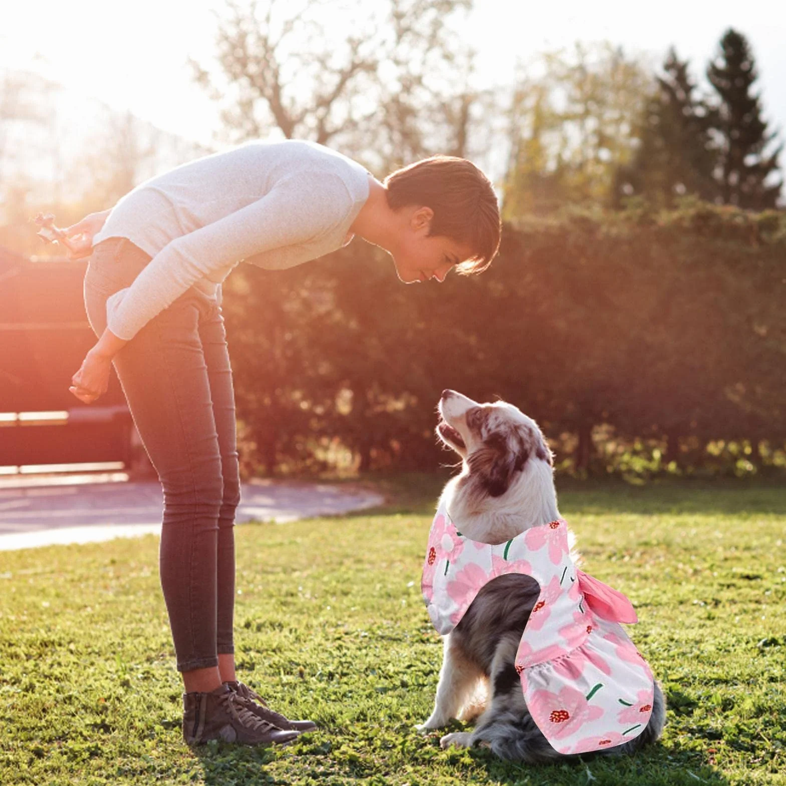 Robe pour chien avec nœud et fleurs décoratives – été mignonne pour chihuahua Yorkie taille XS bleu