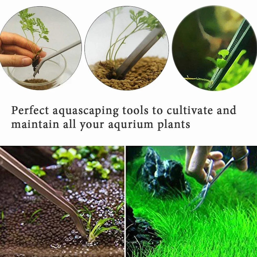 Pince Aquarium Aquascaping Kit 5 en 1 Acier Inoxydable