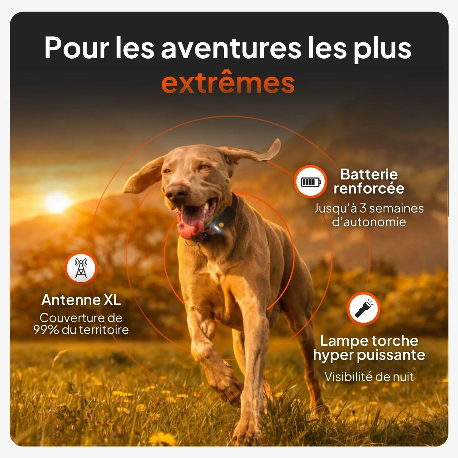 Weenect Chien XT GPS Collier Chien Antenne XL Etanche Julius-K9 Noir