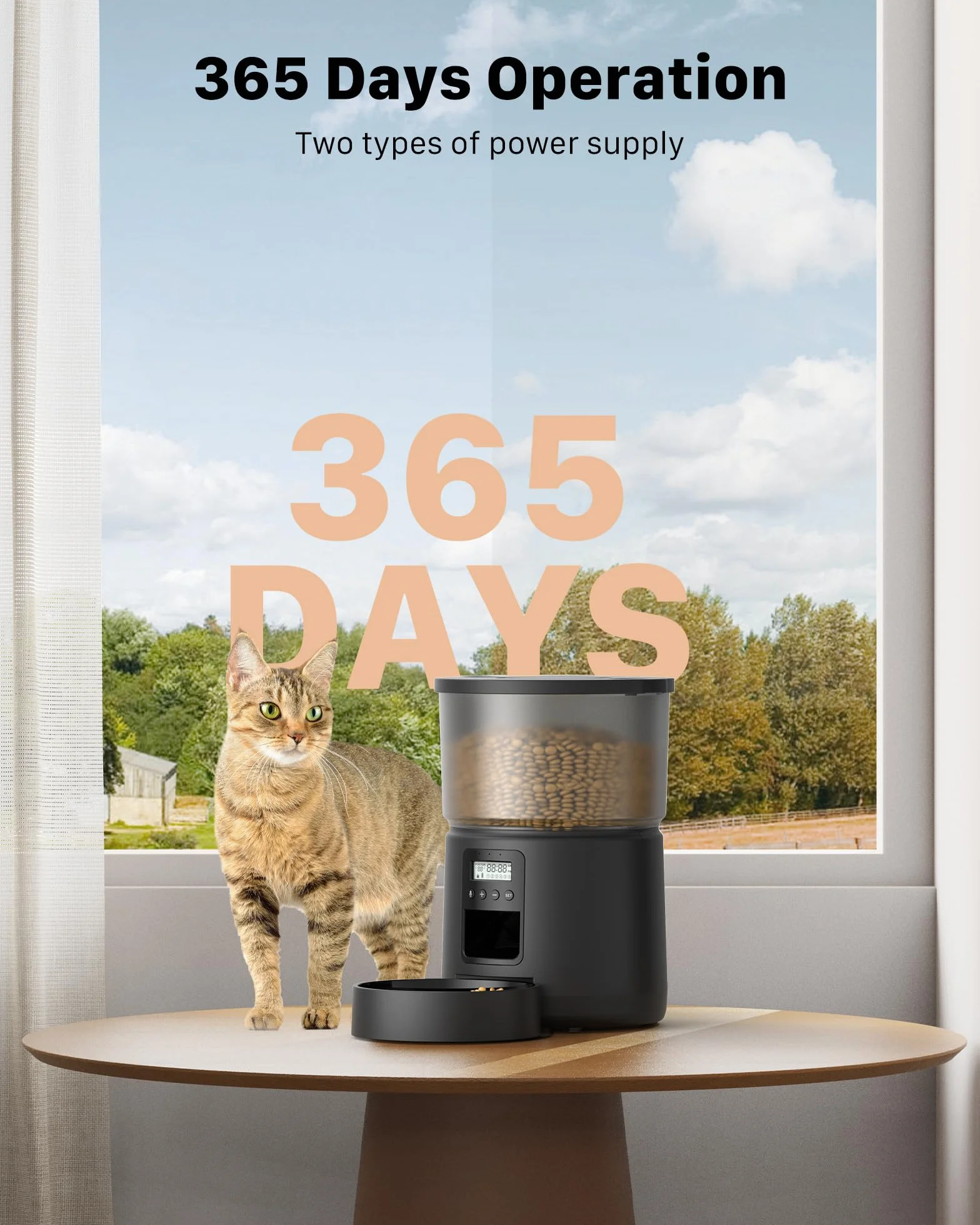 Distributeur Croquettes Chat Automatique avec Minuterie Programmable 1-6 Repas 3L Enregistrement 10s