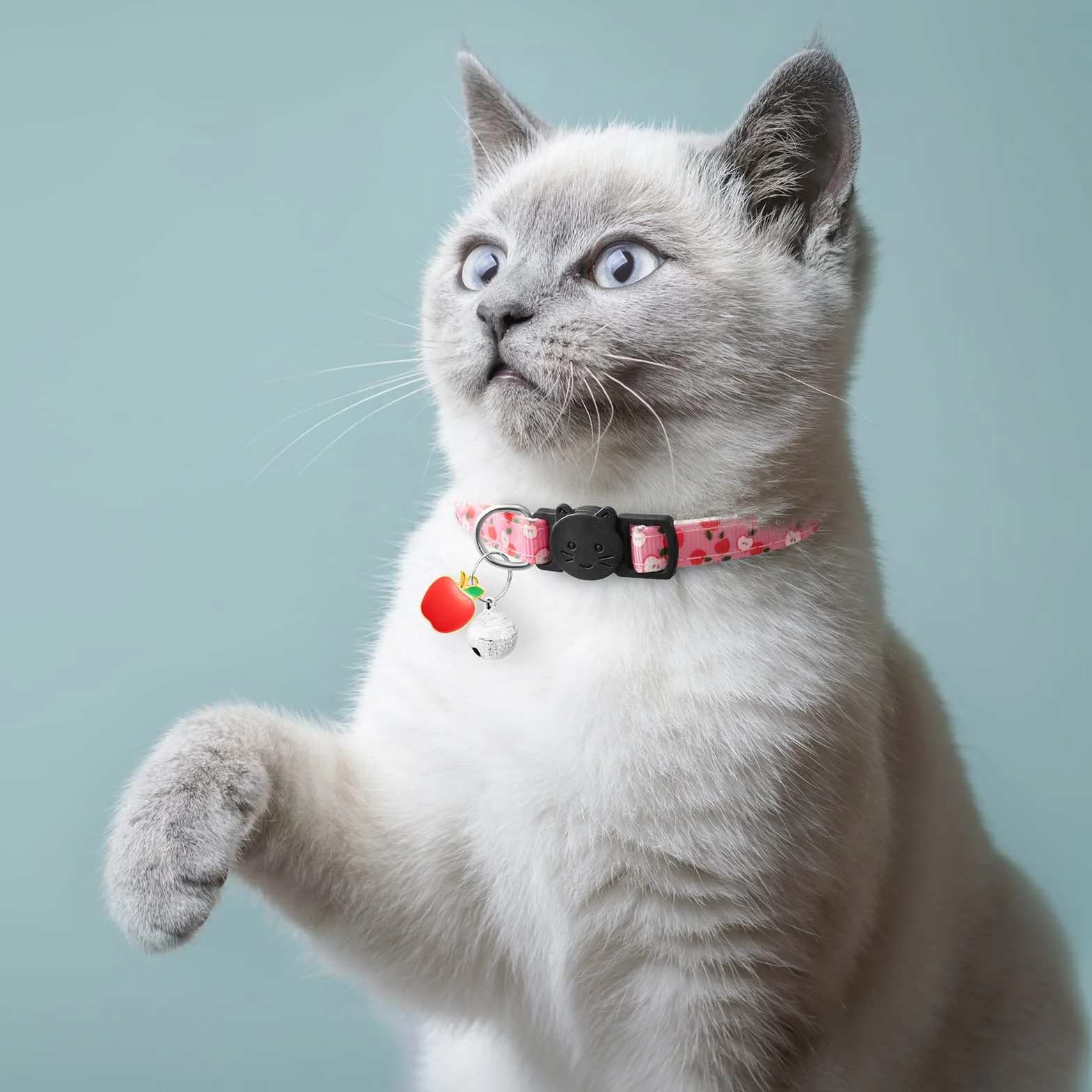 LAFAYI Collier Chat avec Cloche Réglable Anti étranglement Accessoires Animaux