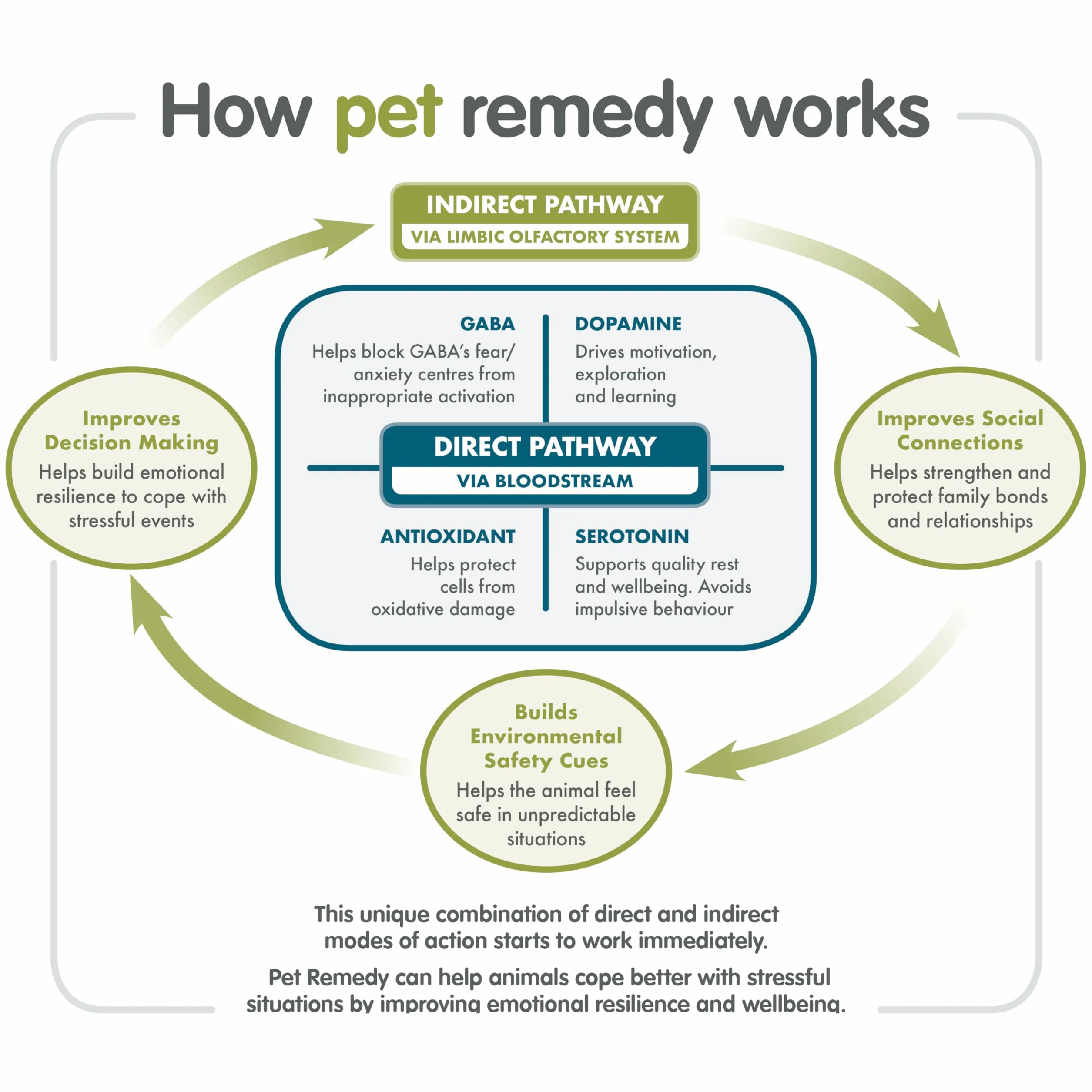 Pet Remedy Spray déstressant et apaisant Naturel 200 ML