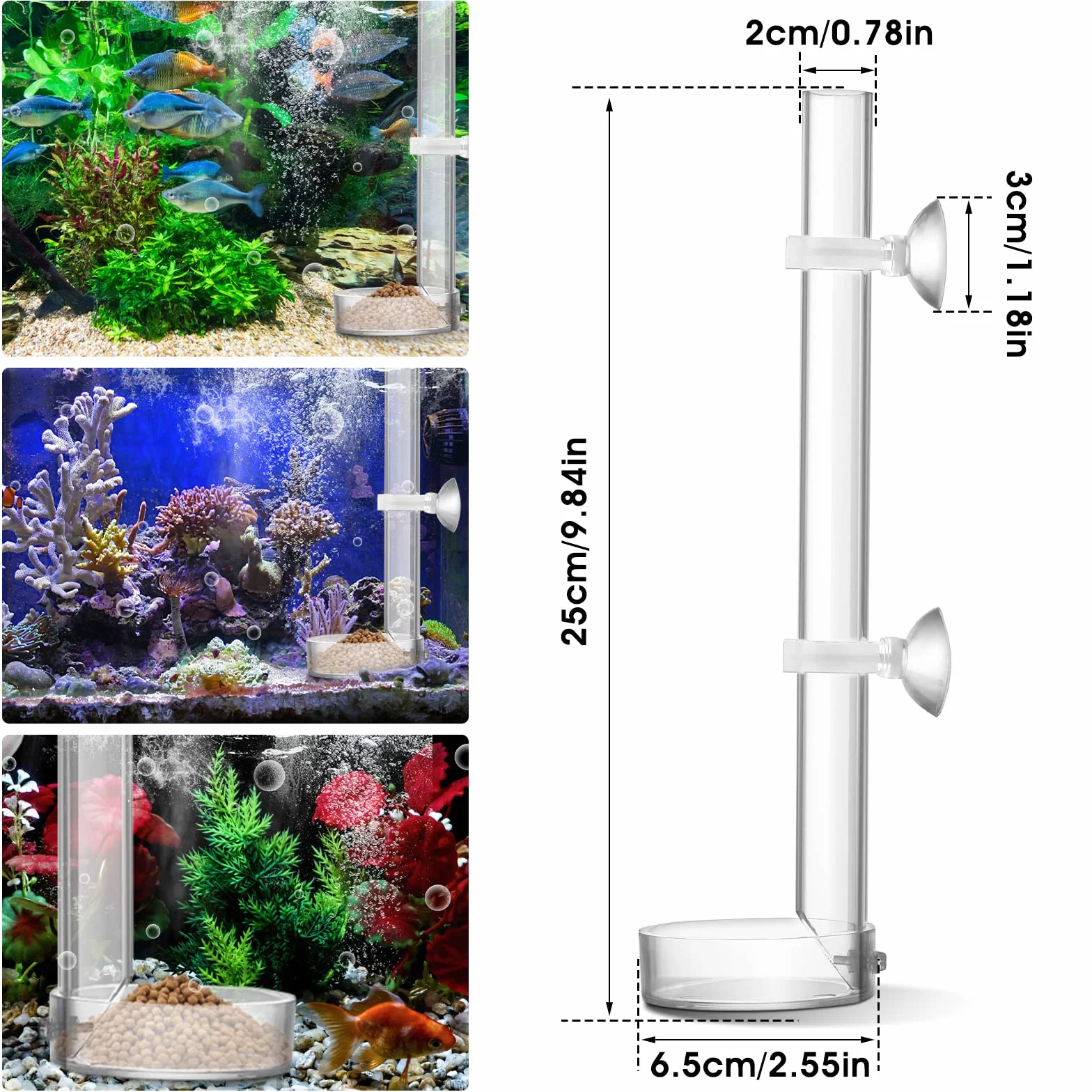 cobee Mangeoire à crevettes en acrylique, mangeoire à crevettes transparente et durable pour poissons d'aquarium - tube de 25 cm et bol d'alimentation de 6,5 cm