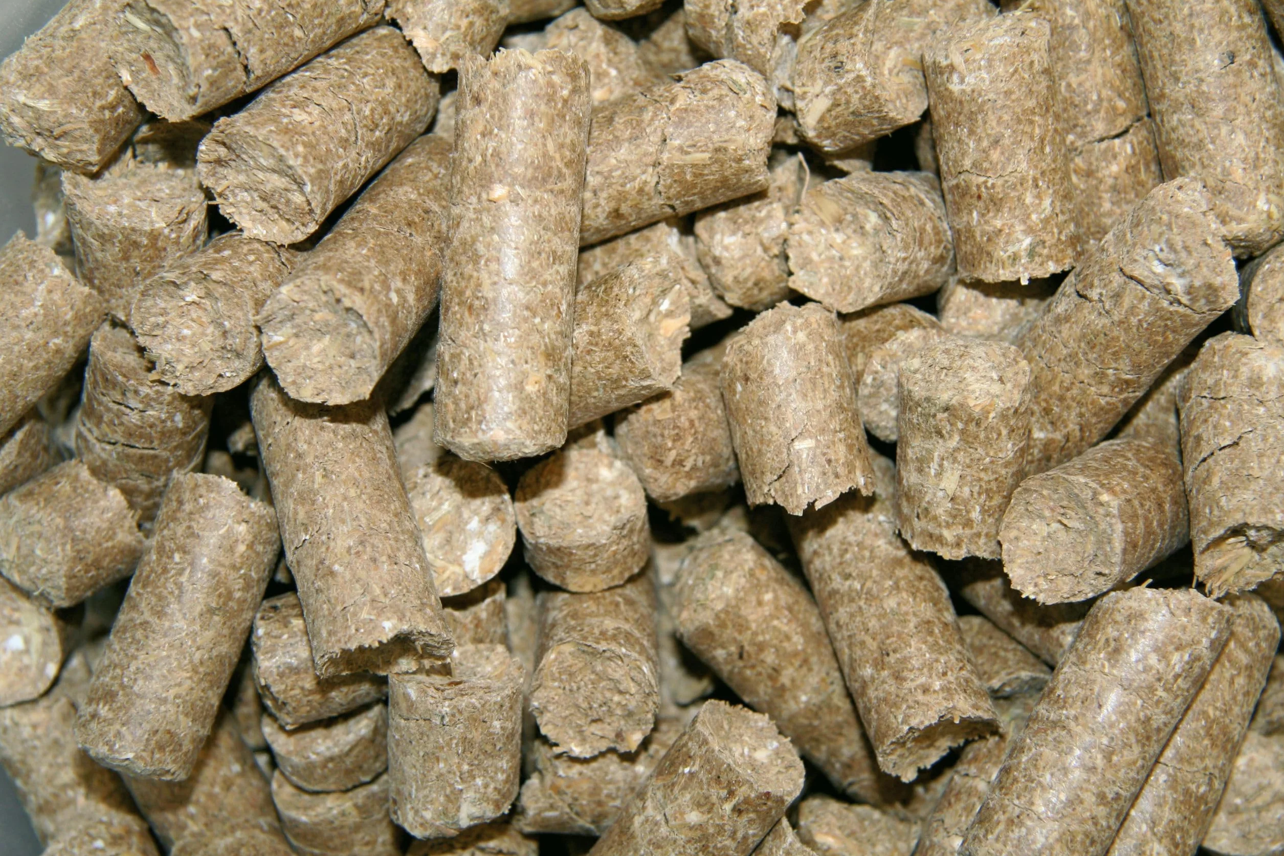 Kerbl Bonbons pour Chevaux Framboise