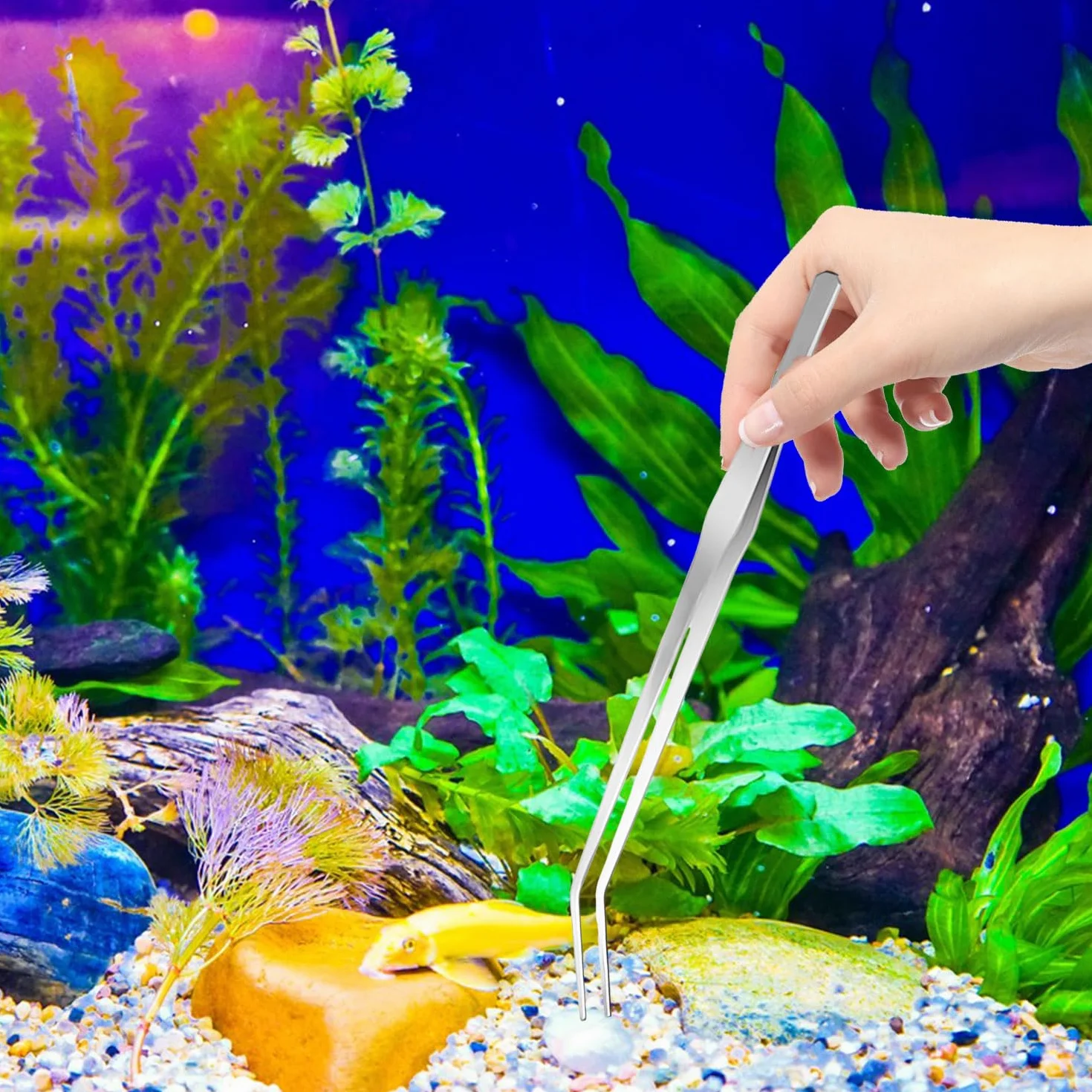 RYAN 4 Pièces Accessoires Aquarium Acier Inoxydable Kit Terrarium Plante Pinces Ciseaux Outils Set