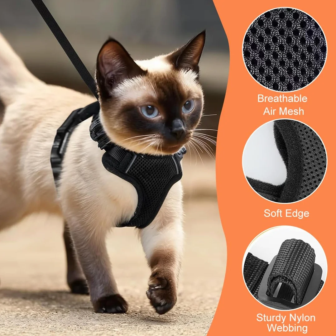 Harnais Pour Chat Noir Xs Laisse Réglable Réfléchissant Gilet Respirant