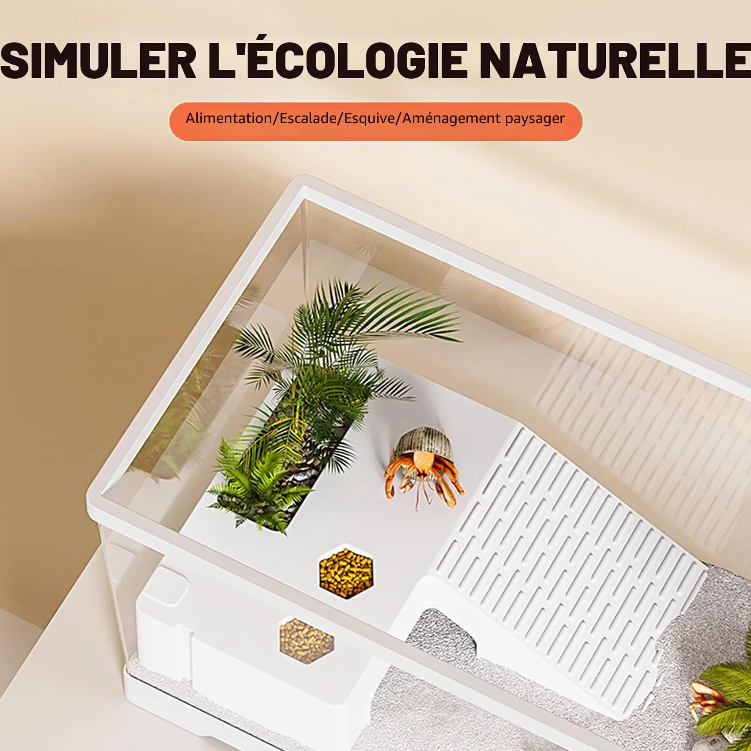 Aquarium de Tortue avec Plate-Forme de Bronzage et Drainage de Fond, réservoir de 20" x 9.5" x 9.5", pour Tortue juvénile, Reptiles