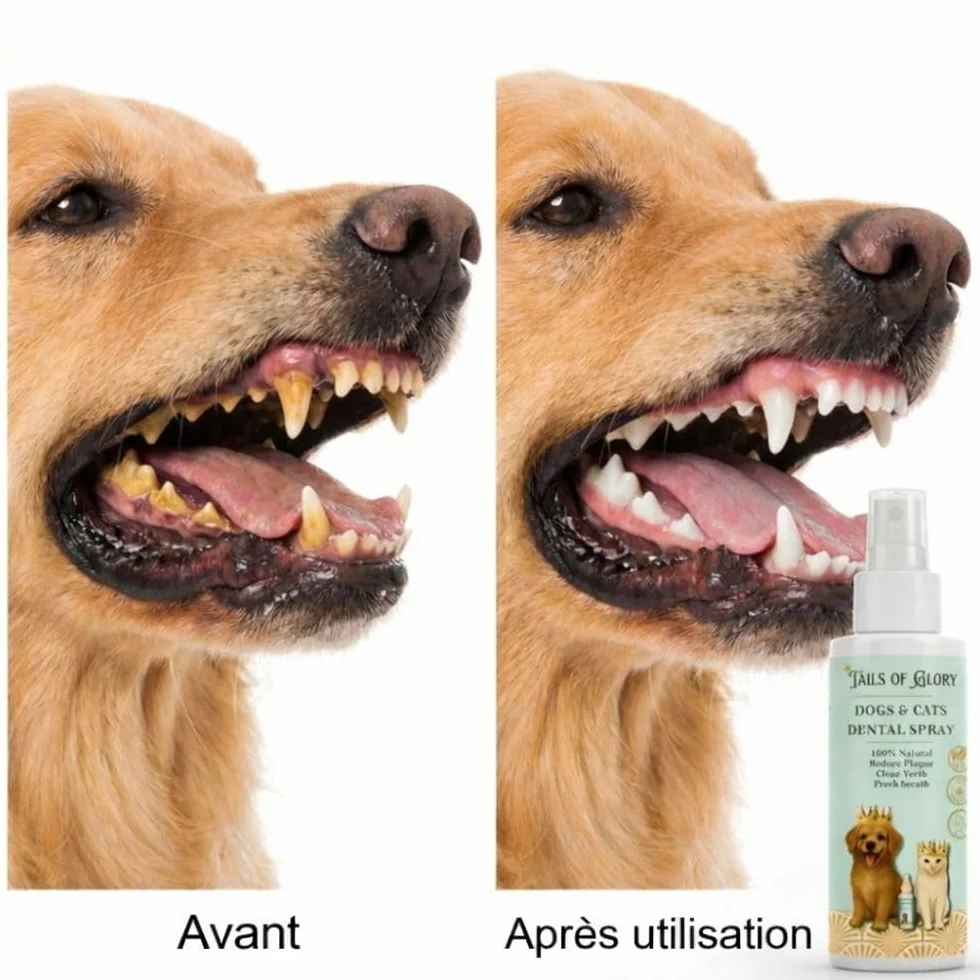 Spray Dentaire Chien & Chat 100ml – Haleine Fraîche, Anti Plaque, Anti Tarte – Formule Prébiotique Naturelle
