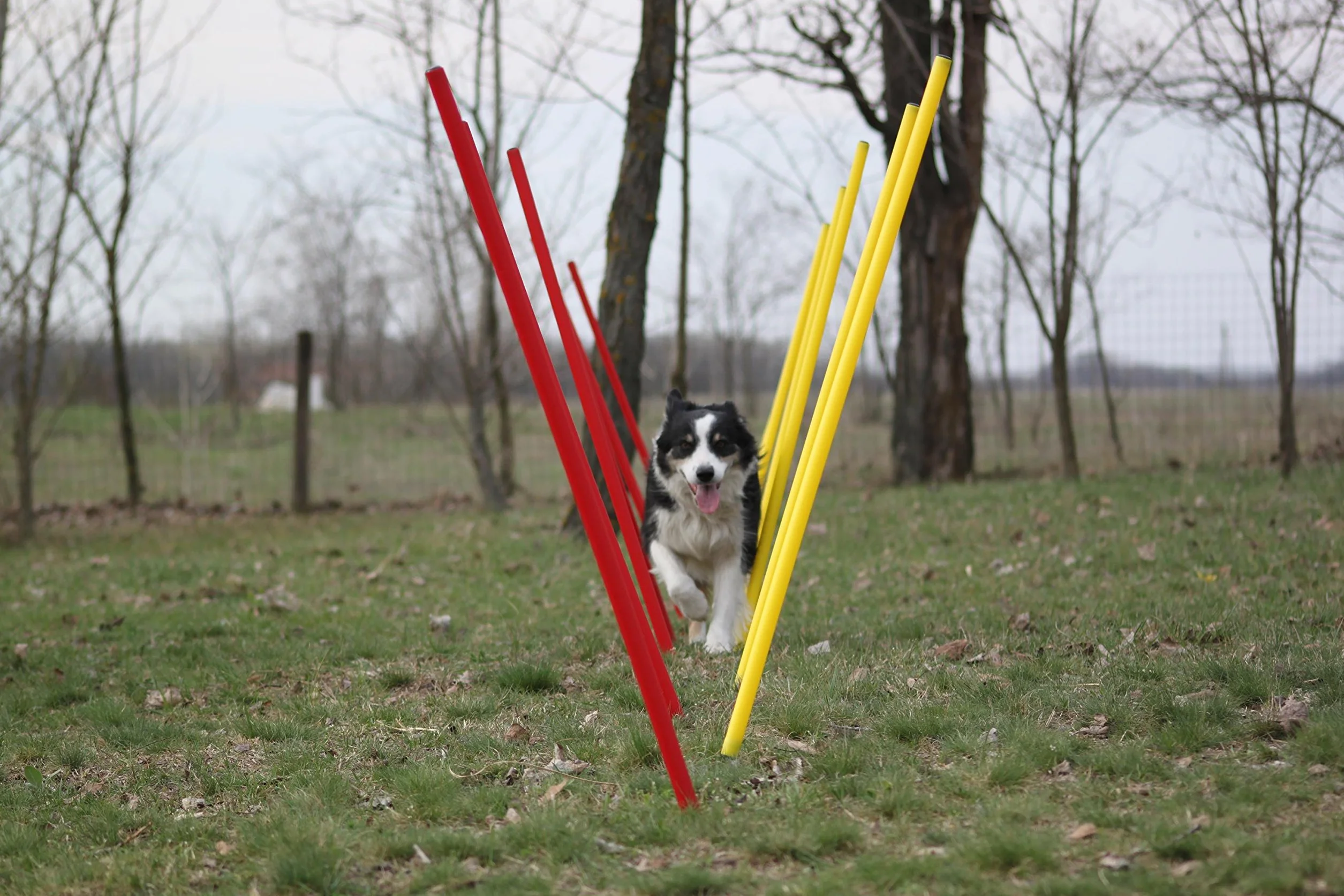 Kit piquets de slalom AGILITY SLALOM rouge/jaune ronds flexibles