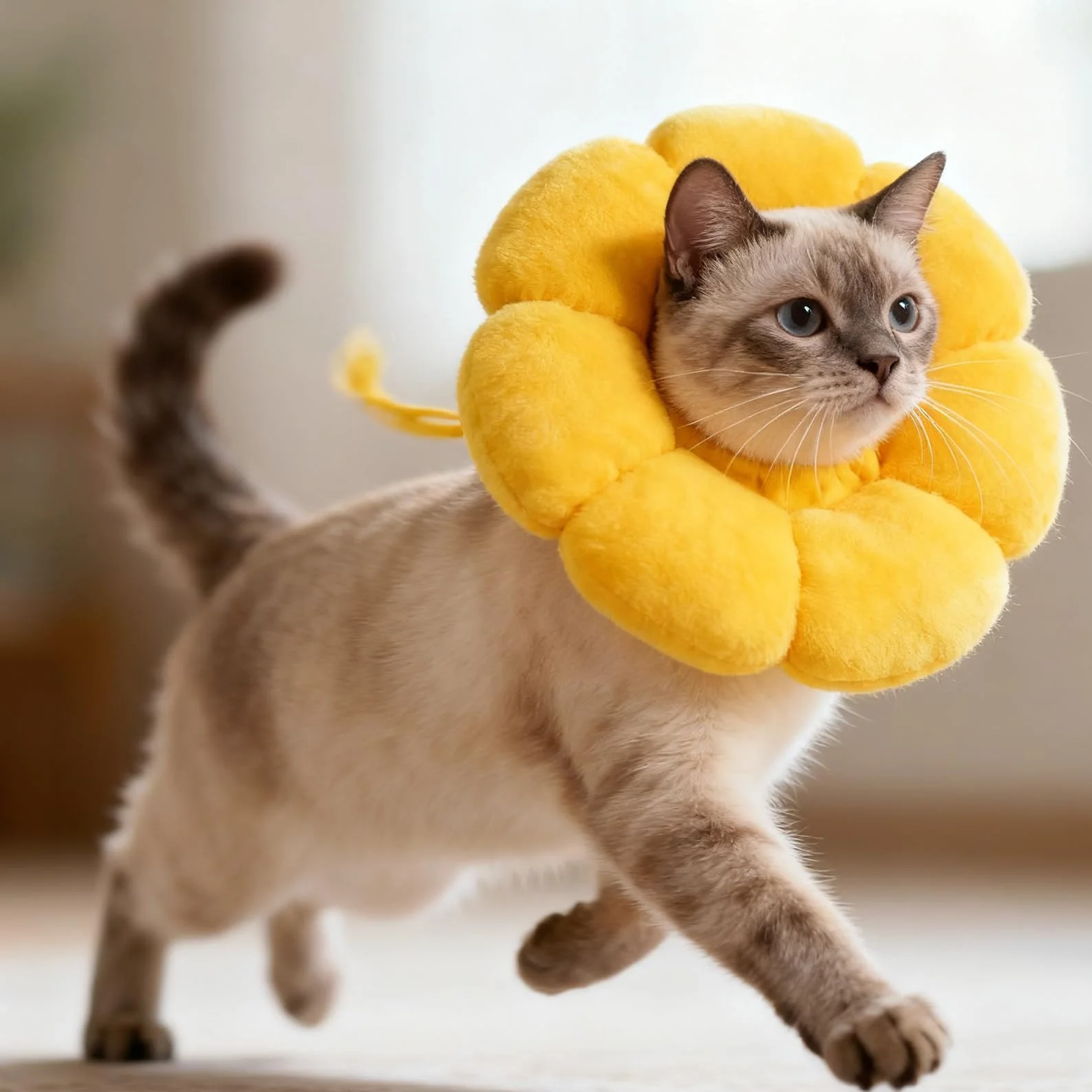 Collerette Chat Anti Lechage Doux Tête Suédé Respirant Anti adhésif Ajustable pour Chats Chiots Petits Chiens Après Opération Blessure (M)