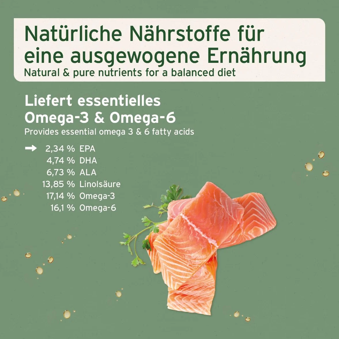 AniForte Huile de Saumon pour Chiens & Chevaux 5 L - Huile de Poisson Naturelle Riche en oméga 3