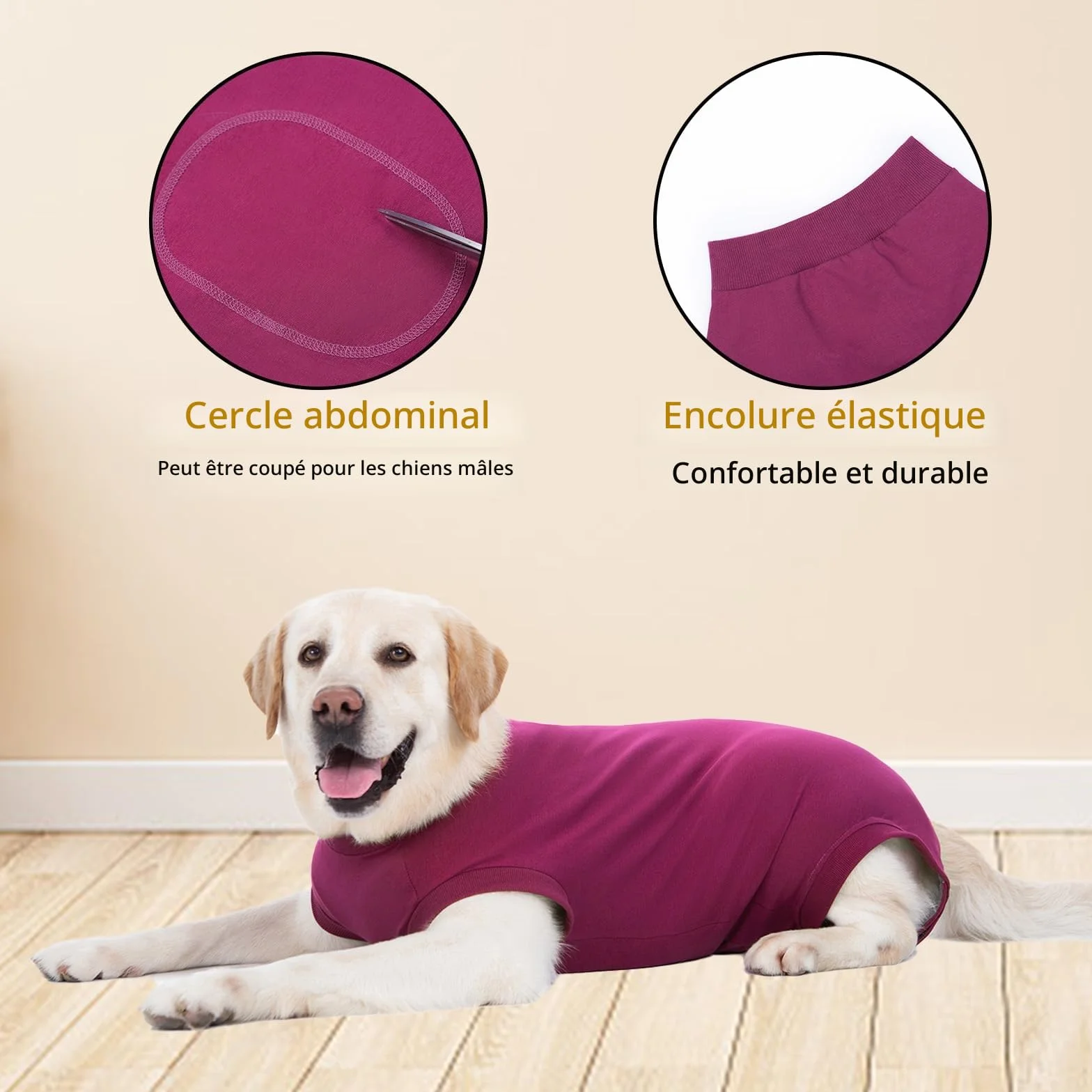 Combinaison de Récupération Chien Post-Opératoire Body Chirurgical pour Chienne Mâle après Stérilisation