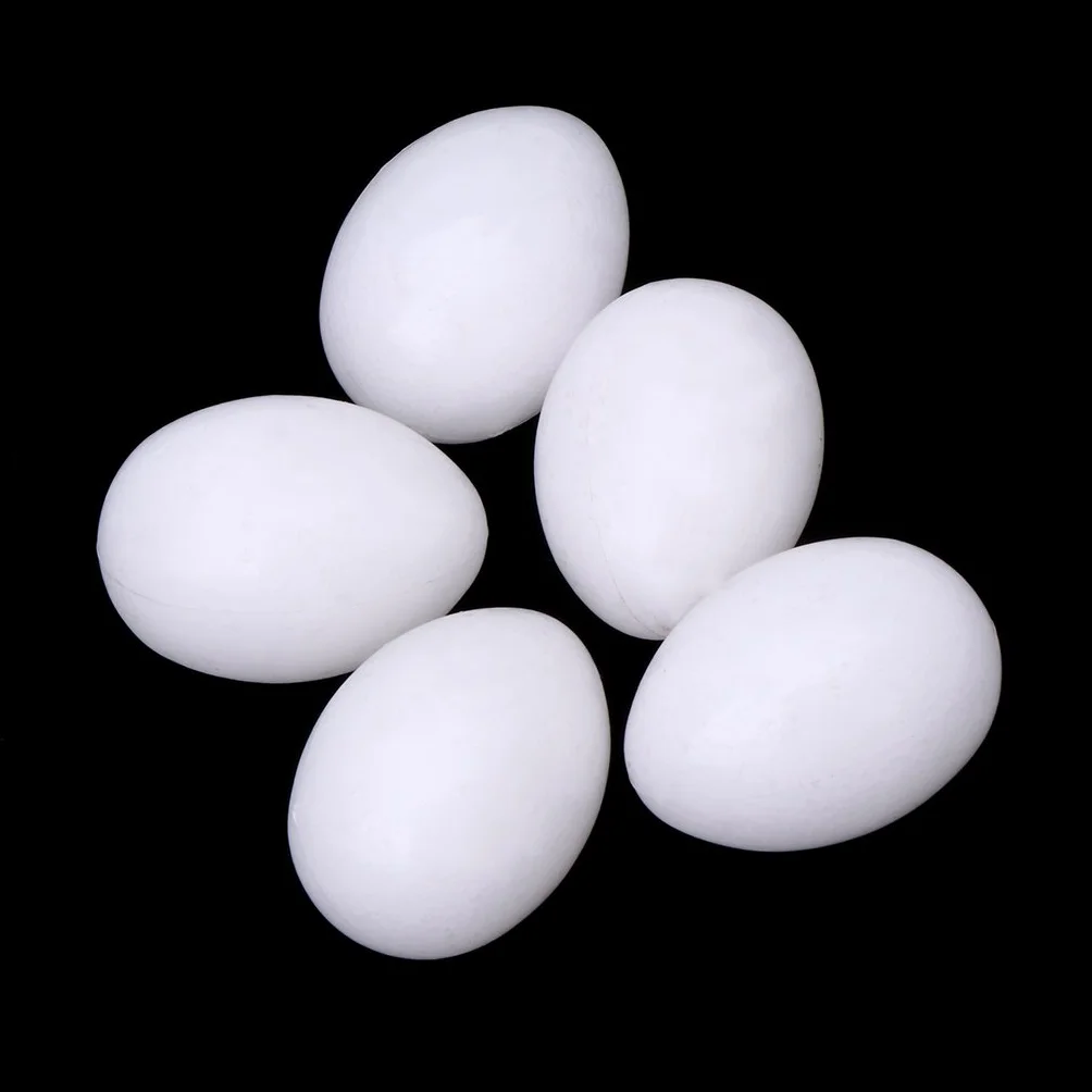 Lot de 5 œufs solides pour perroquet - Blanc - Joues vertes - Loriquet - Colombe et calopsitte