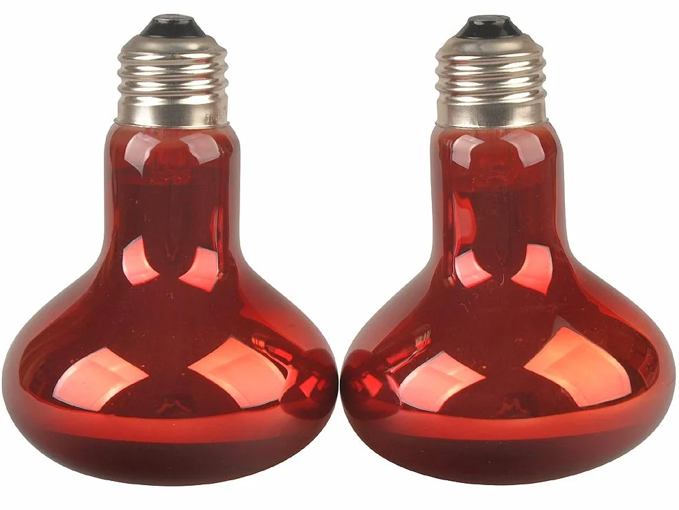 LUCKY HERP Lot de 2 ampoules chauffantes infrarouges pour reptiles E27 50 W