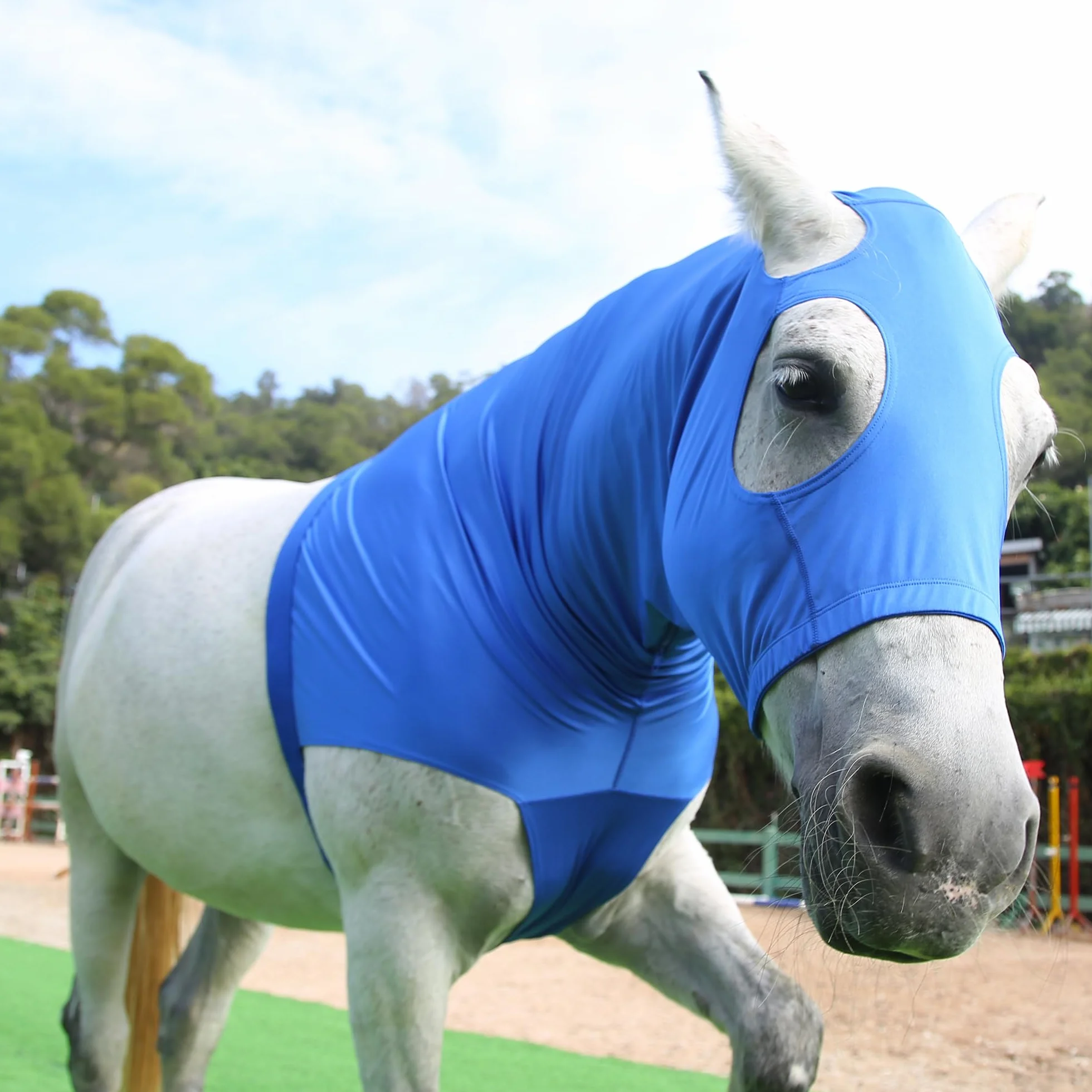 Mane Braid Capuche extensible pour cheval XXL Bleu bouclier anti-mouches fermeture éclair protection visage cou
