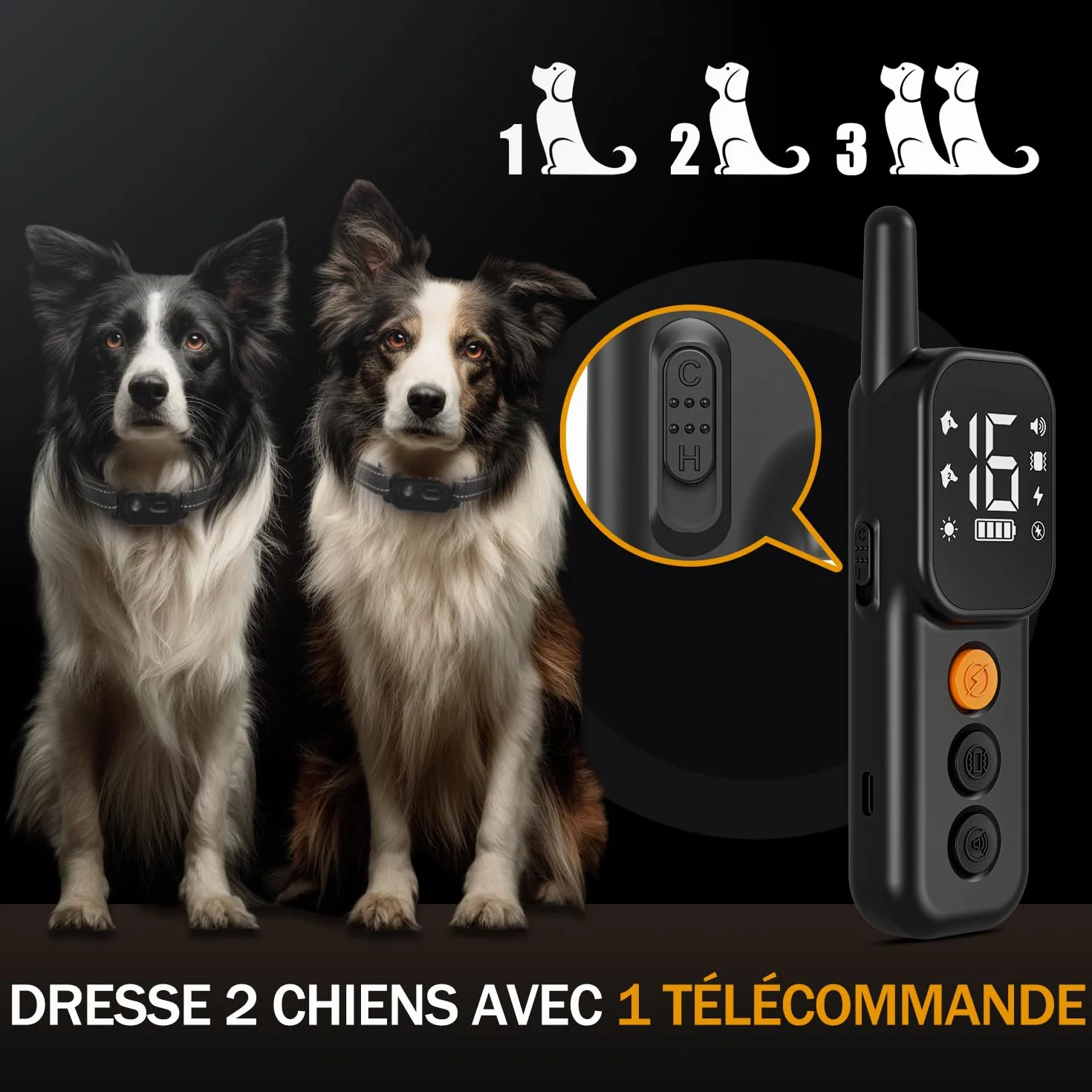 Collier de Dressage pour Chien IP67 1000m Double Canal avec Verrouillage de Sécurité Noir