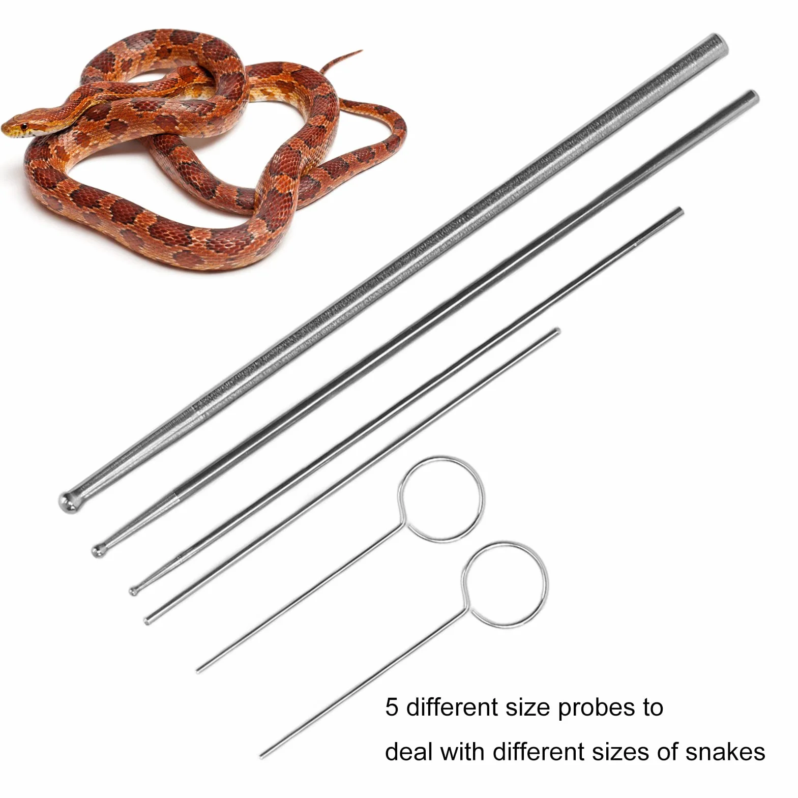 Sonde de sexage de Serpent en Acier Inoxydable 5 Tailles avec boîte de Rangement pour Reptiles