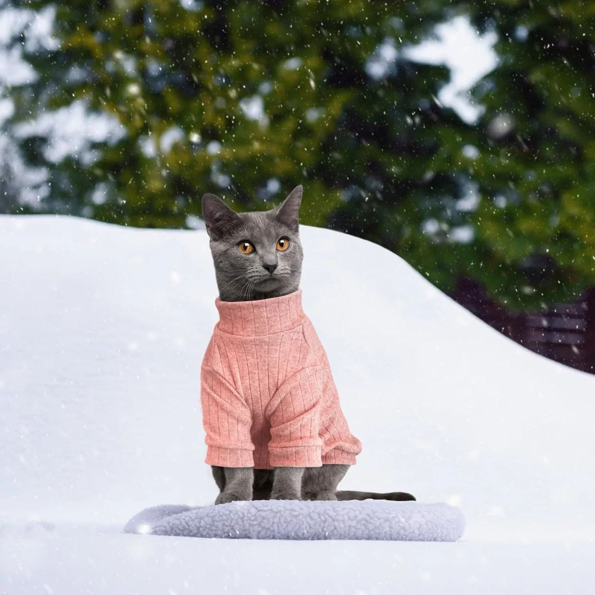Pull à Manches Longues pour Chat Sphynx, Veste d'Hiver sans Poils