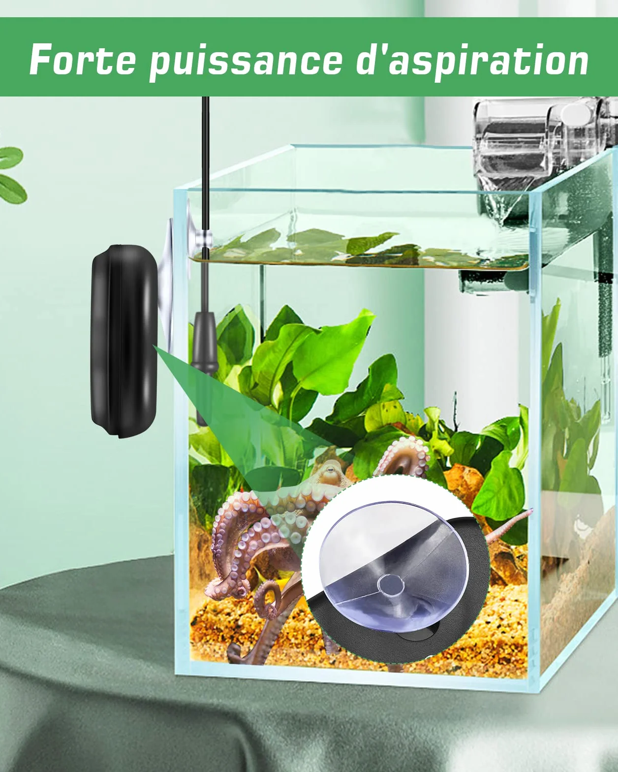 Zacro Thermomètre LCD Digital Aquarium avec Ventouse Sonde Immersion