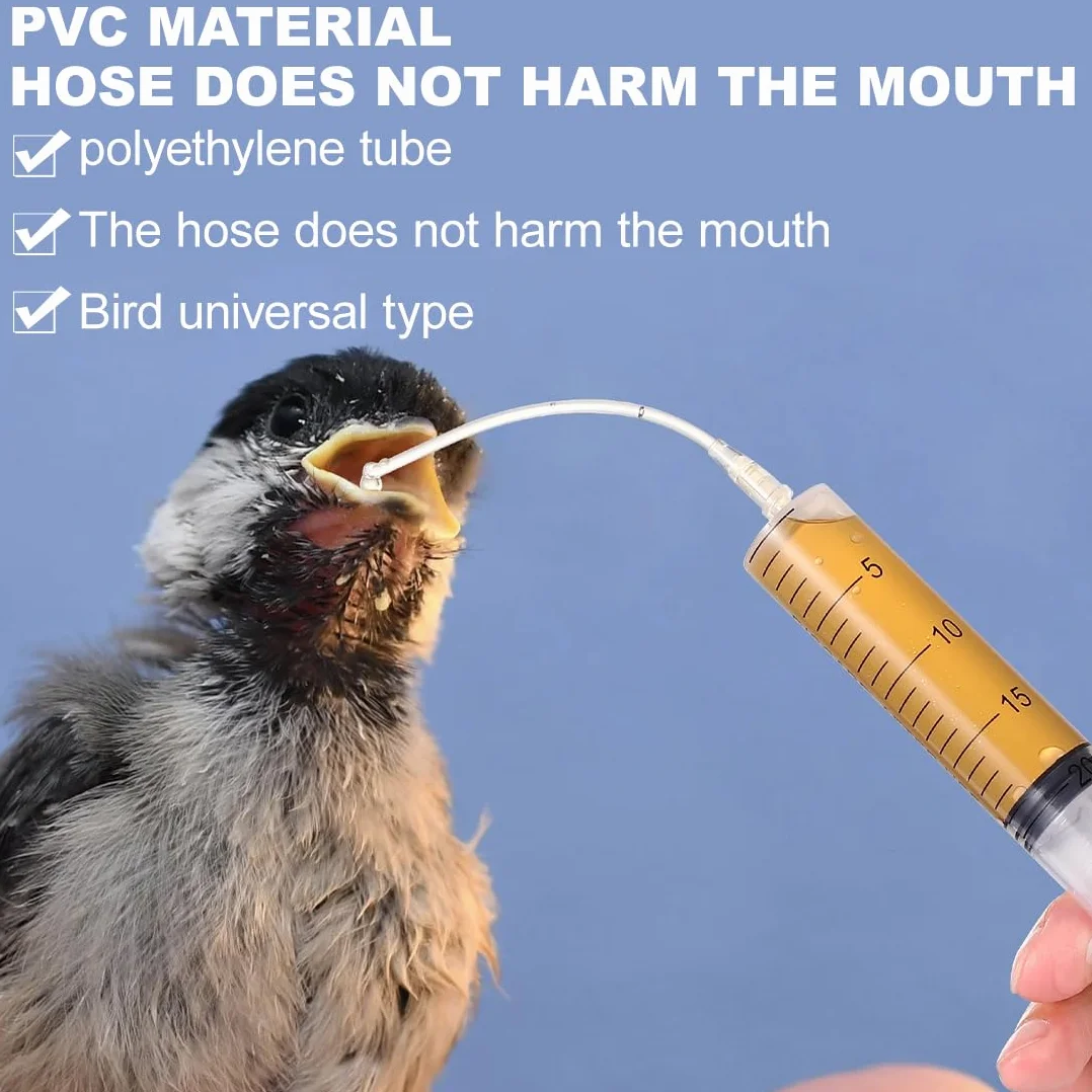 Seringue d'Alimentation pour Bébé Oiseau et Perroquet, 10 Pièces, Nourrir Animaux de Compagnie