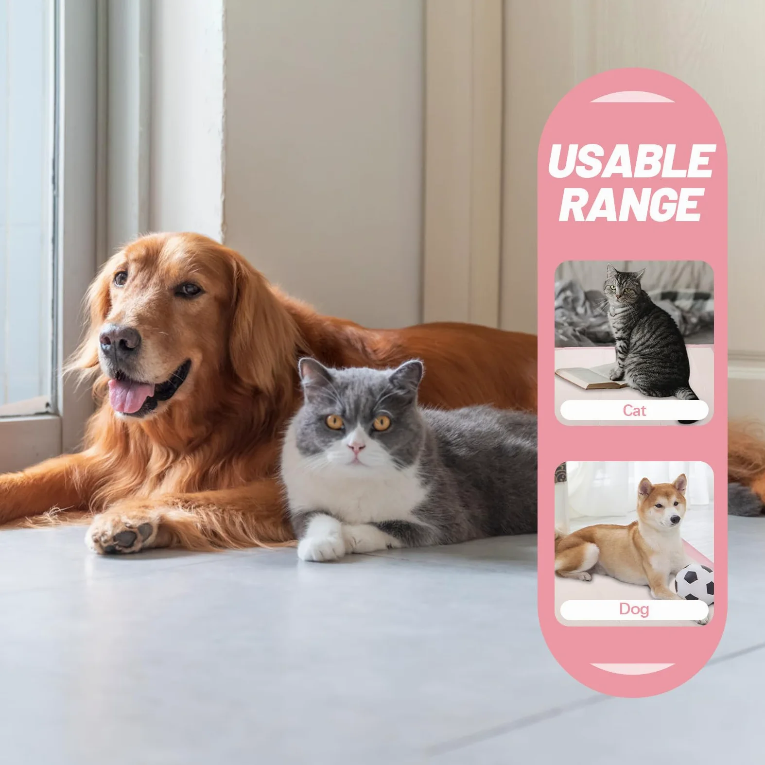 Alèse pour Chien Super Absorbante Rose, 1 Sachet, pour Apprentissage | Polymère Importé et Pulpe de Bois, Film Pe Imperméable et Papier Toilette, Usage Sommeil et Dressage