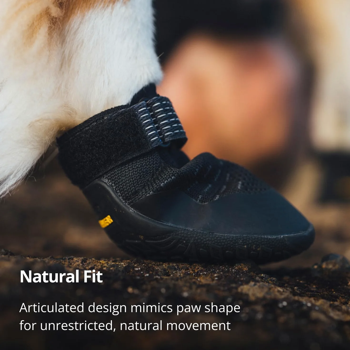RUFFWEAR Ridgeline – Lot de 2 chaussures pour chien, bottes de marche robustes pour animaux de compagnie, sur surfaces chaudes ou froides, équipement de course, d'escalade et de randonnée, noir