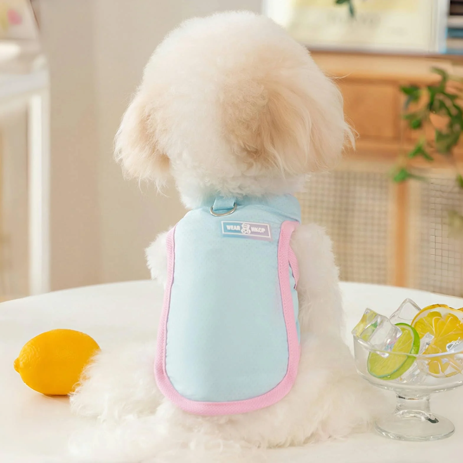 Gilet Rafraîchissant pour Chien T-Shirt d'Été Respirant Séchage Rapide Bleu Taille M 2,5-4 kg