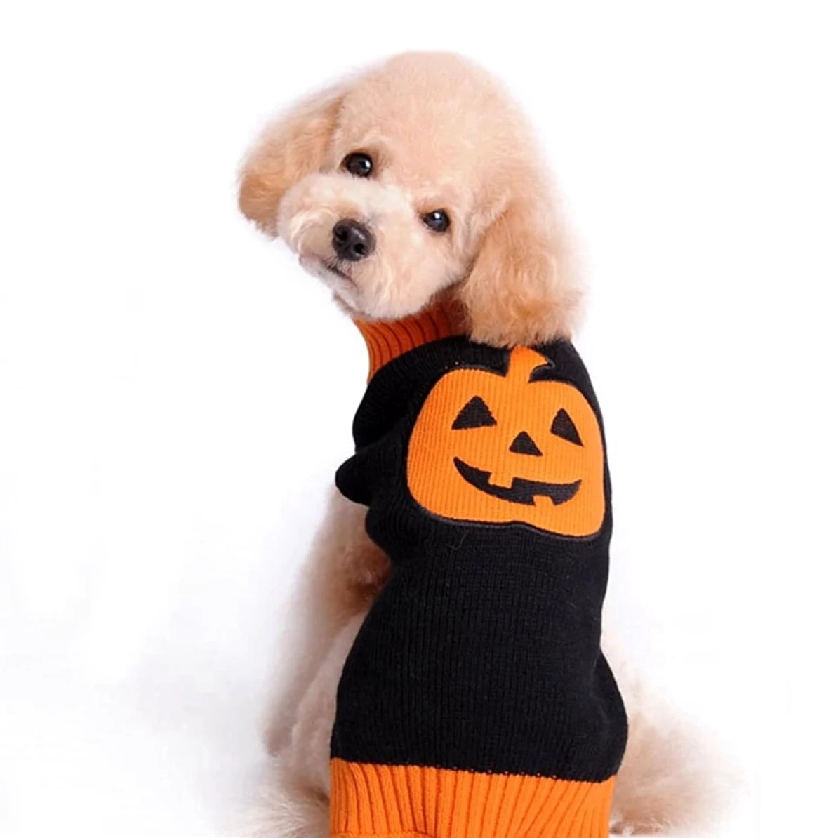 Kisangel 3 Pièces Pull pour Chien Citrouille pour Animaux de Compagnie vêtements d'halloween décor d'halloween déguisements Chandails décoration Pull-Over Robes Marrant décorer