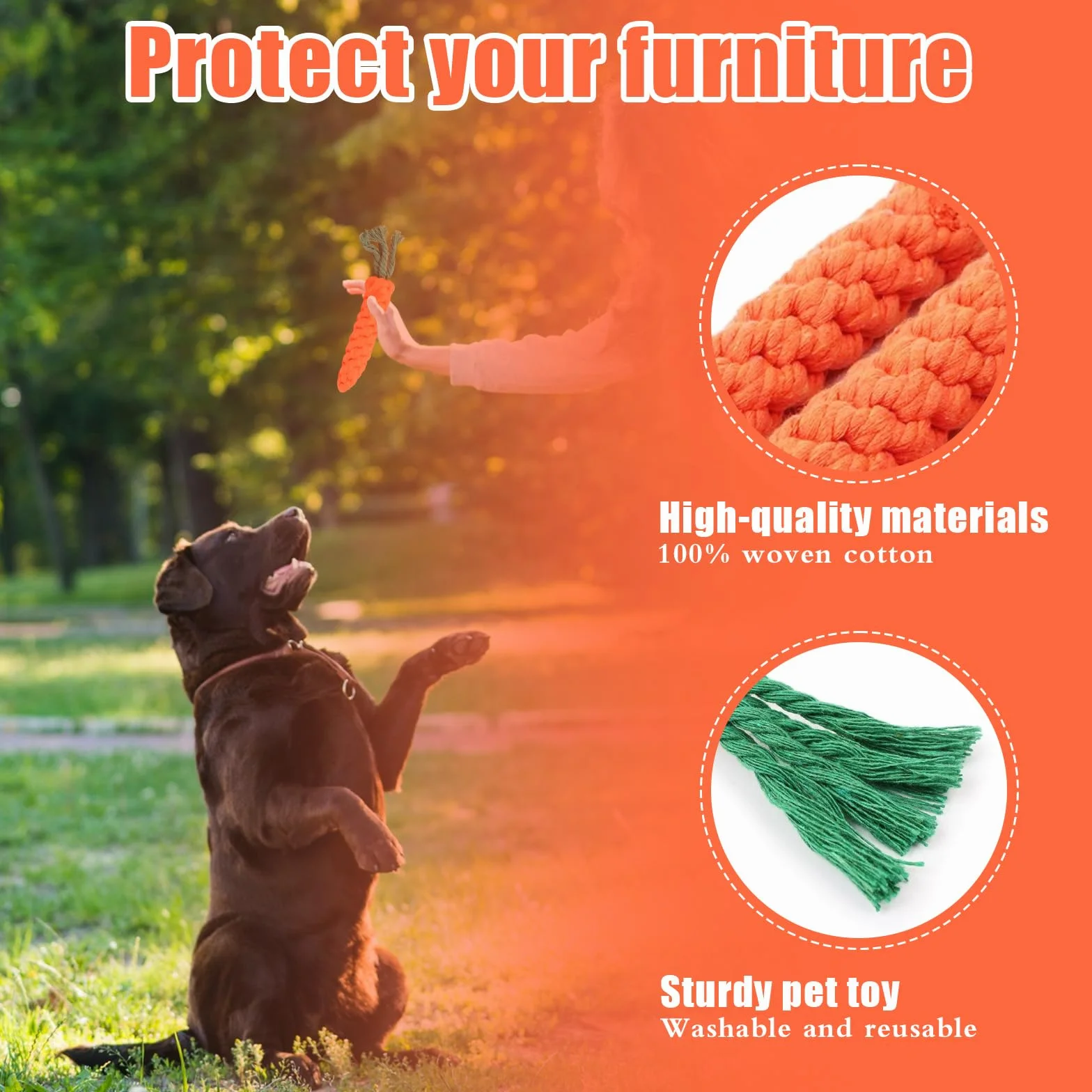 Jouets à Mâcher pour Chien Carotte, Corde Tressée en Coton Durable pour Petite et Moyenne