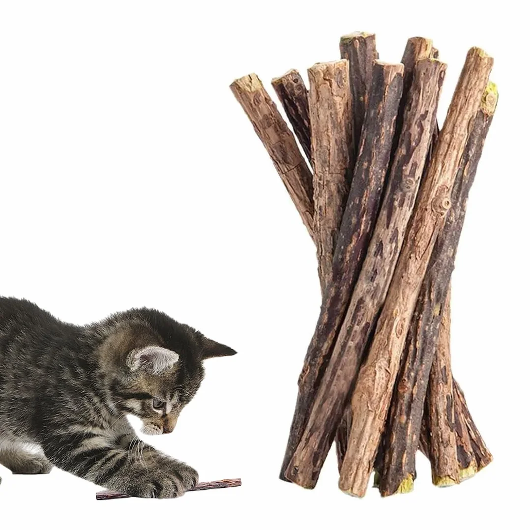 Bâtonnets en Bois de Matatabi pour Chats - 12 Pièces, Jouet Naturel à Mâcher pour l'Hygiène Dentaire, Soin des Dents et Contre la Mauvaise Haleine (Diamètre 0.6-0.8 cm)
