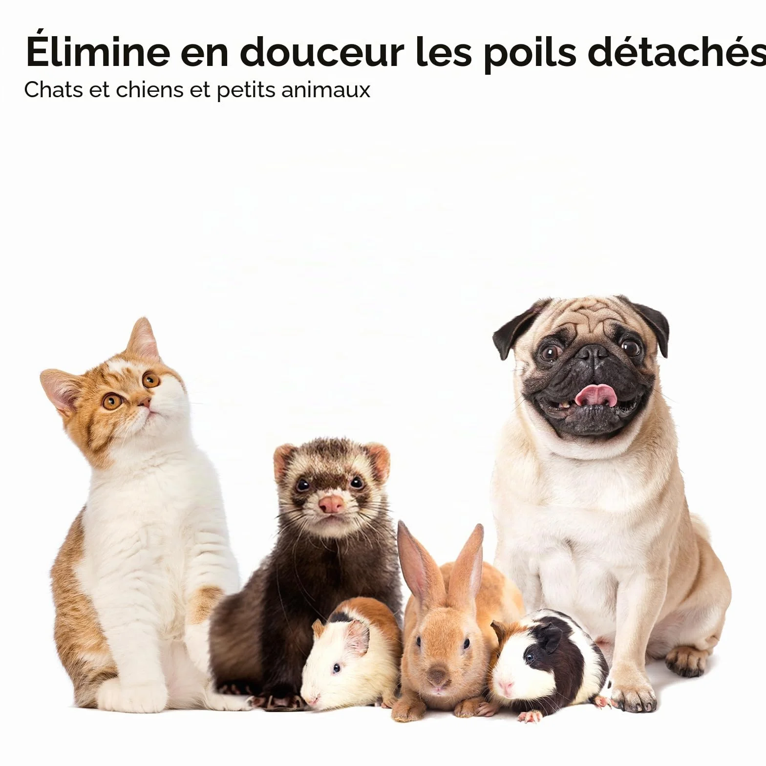 aumuca Brosse Autonettoyante pour Chat Poil Long Court Toilettage Sous-poil Massage